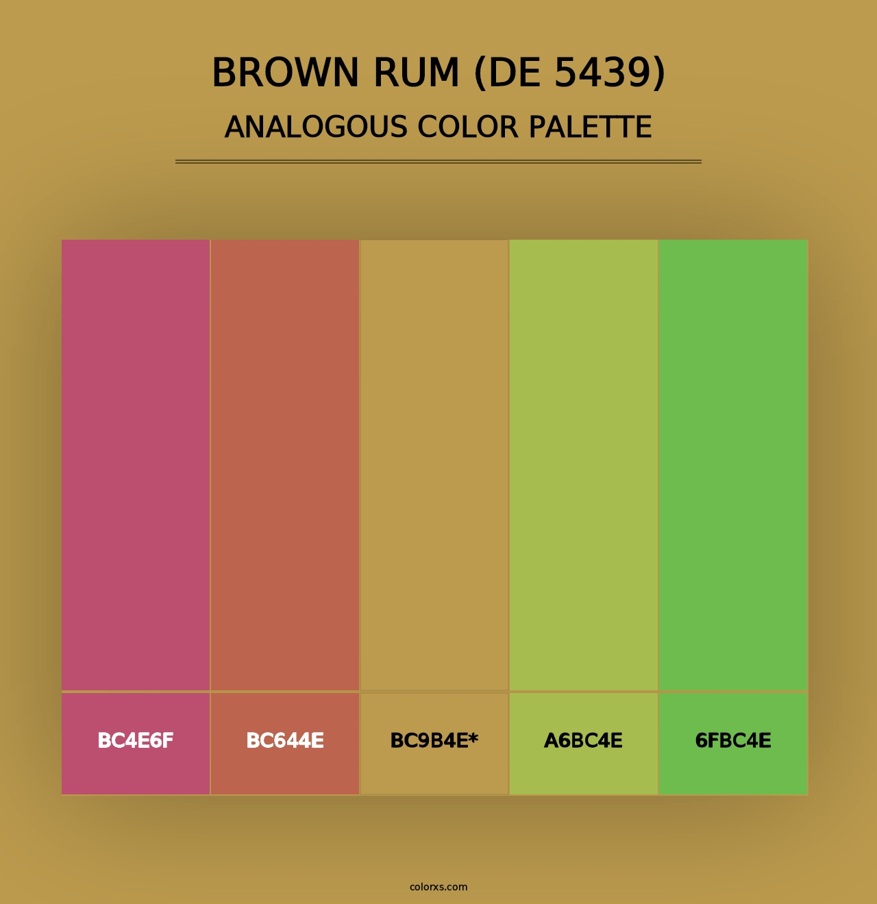 Brown Rum (DE 5439) - Analogous Color Palette