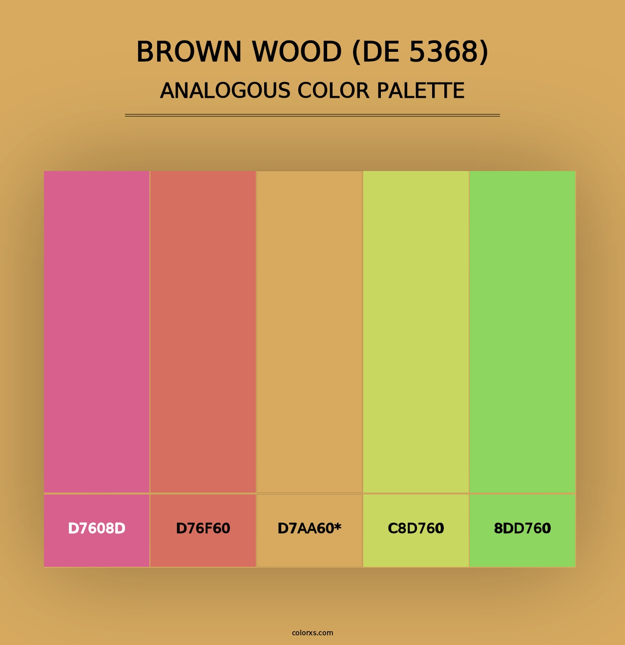 Brown Wood (DE 5368) - Analogous Color Palette