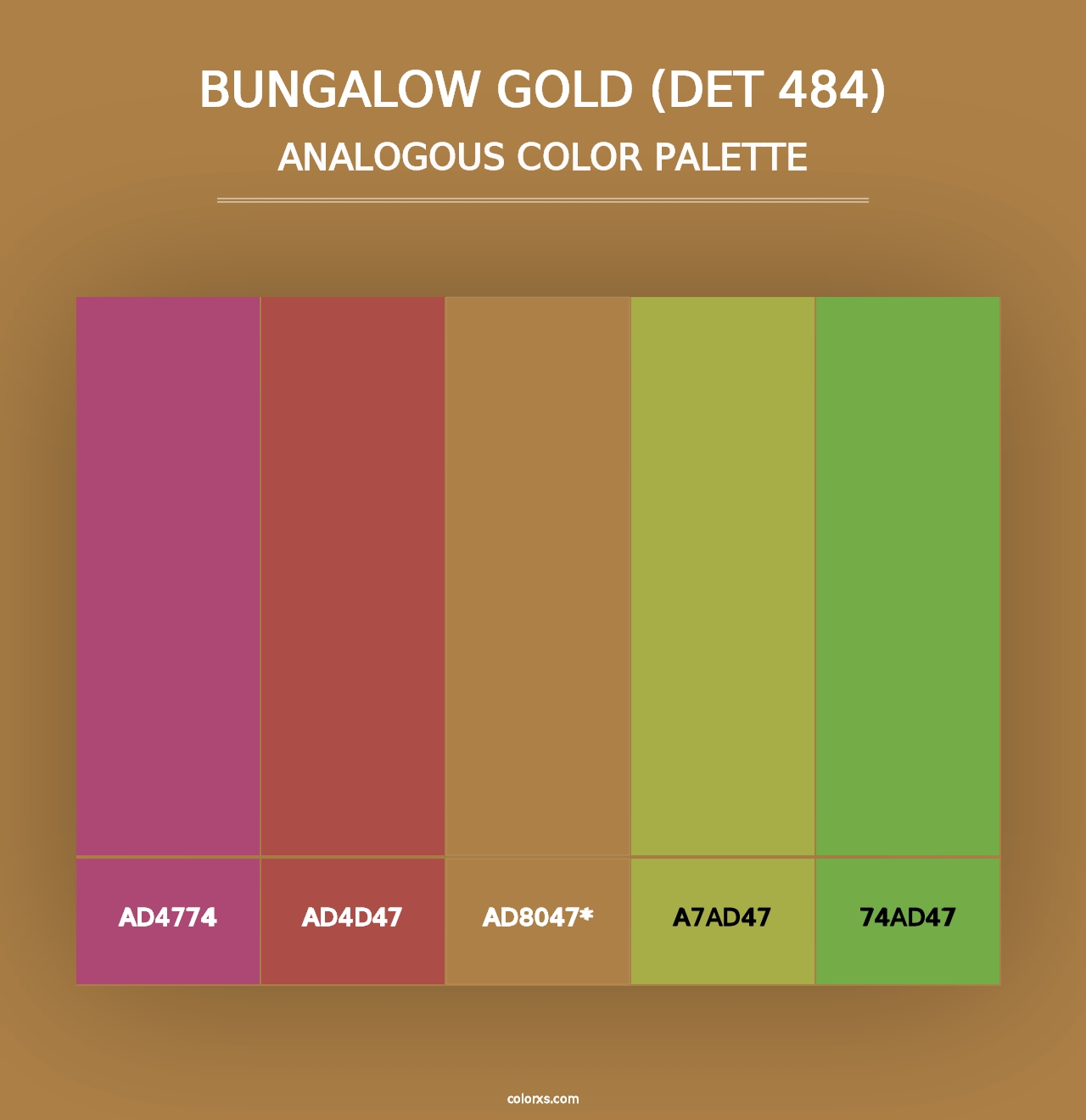 Bungalow Gold (DET 484) - Analogous Color Palette