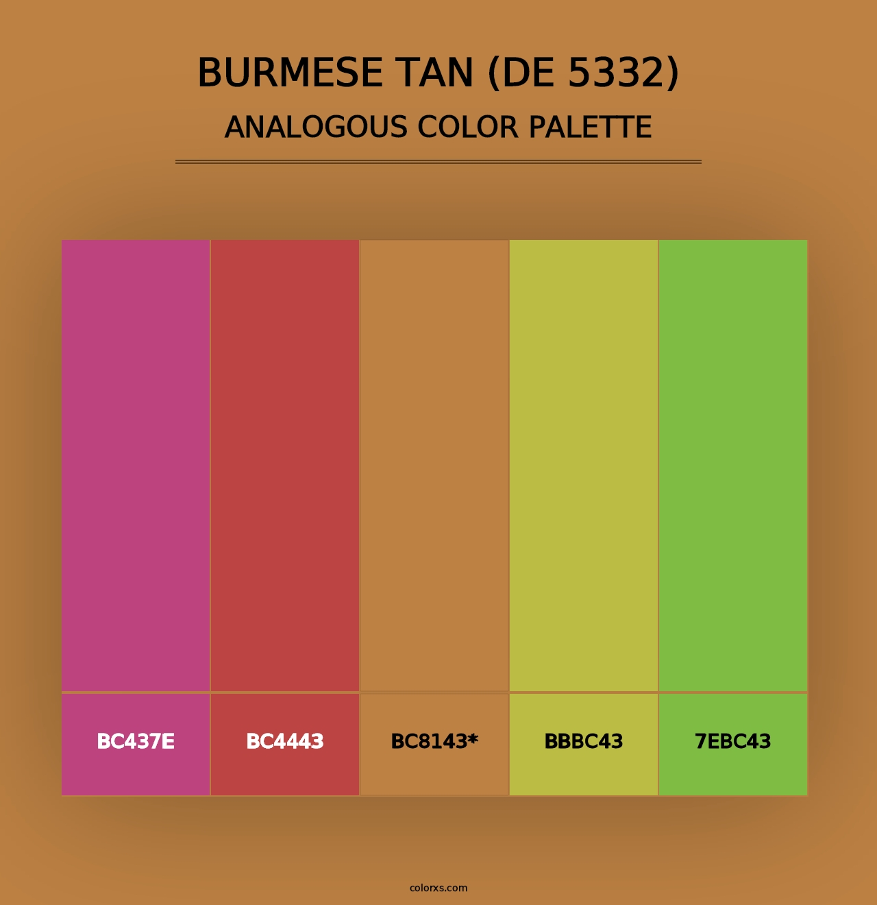 Burmese Tan (DE 5332) - Analogous Color Palette