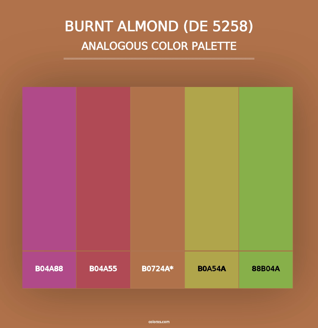 Burnt Almond (DE 5258) - Analogous Color Palette