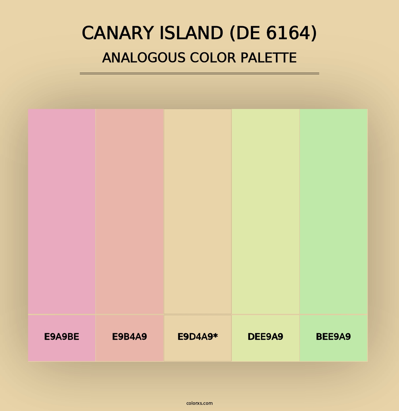 Canary Island (DE 6164) - Analogous Color Palette