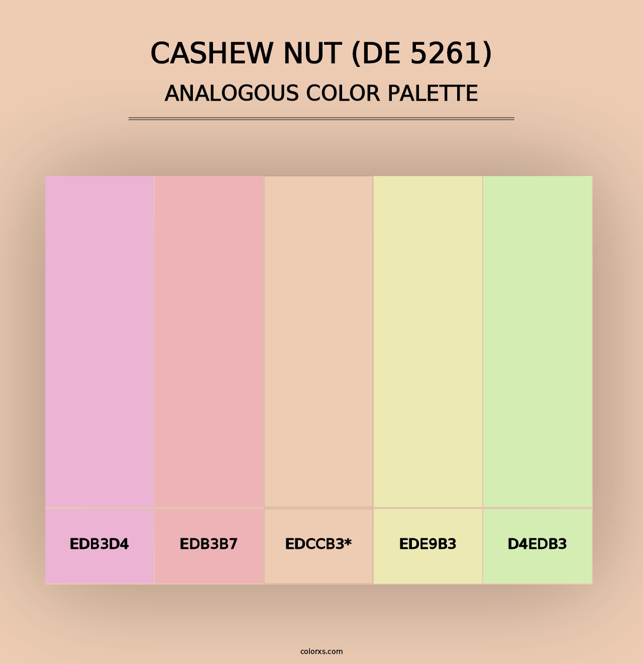 Cashew Nut (DE 5261) - Analogous Color Palette