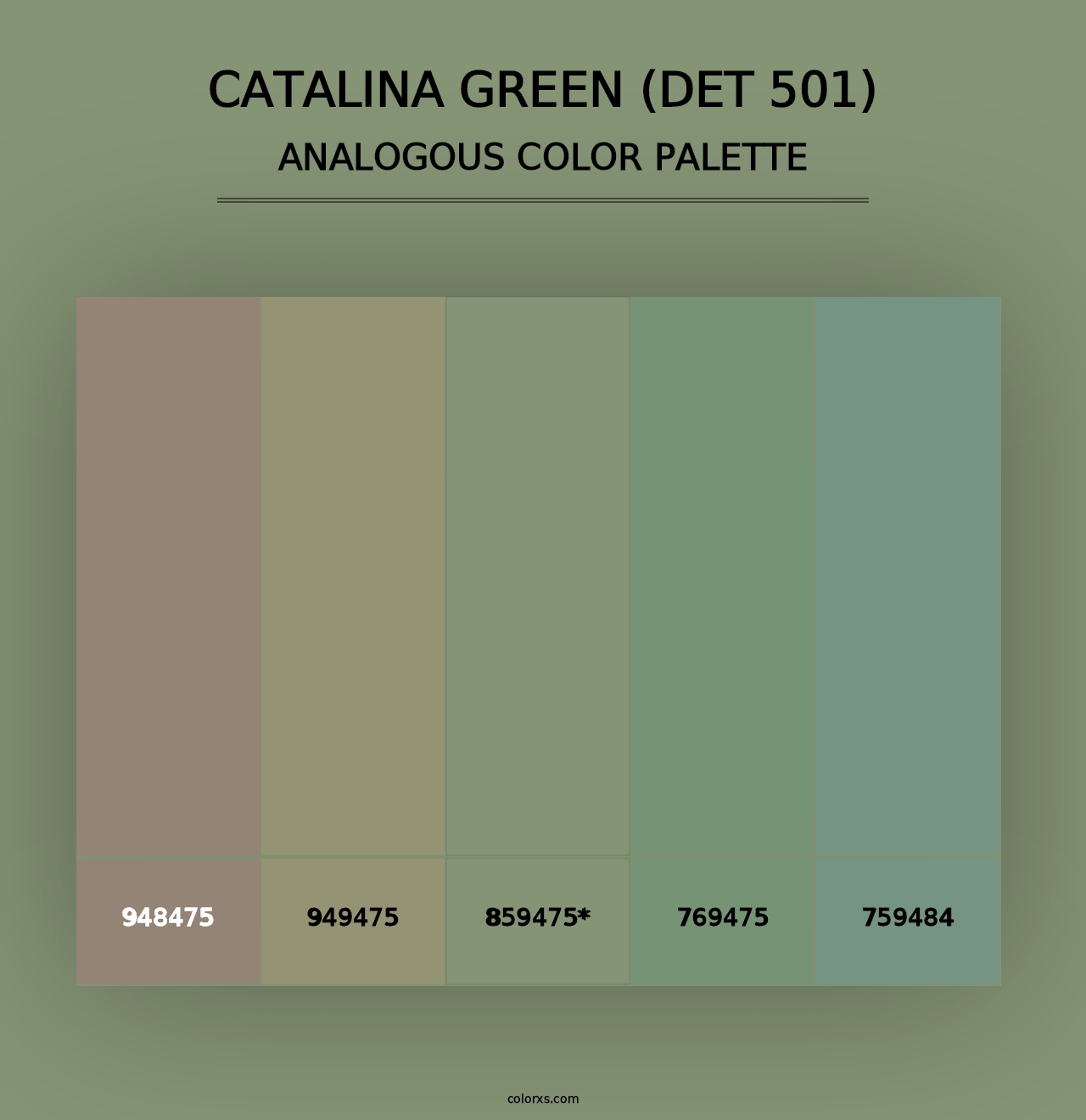 Catalina Green (DET 501) - Analogous Color Palette