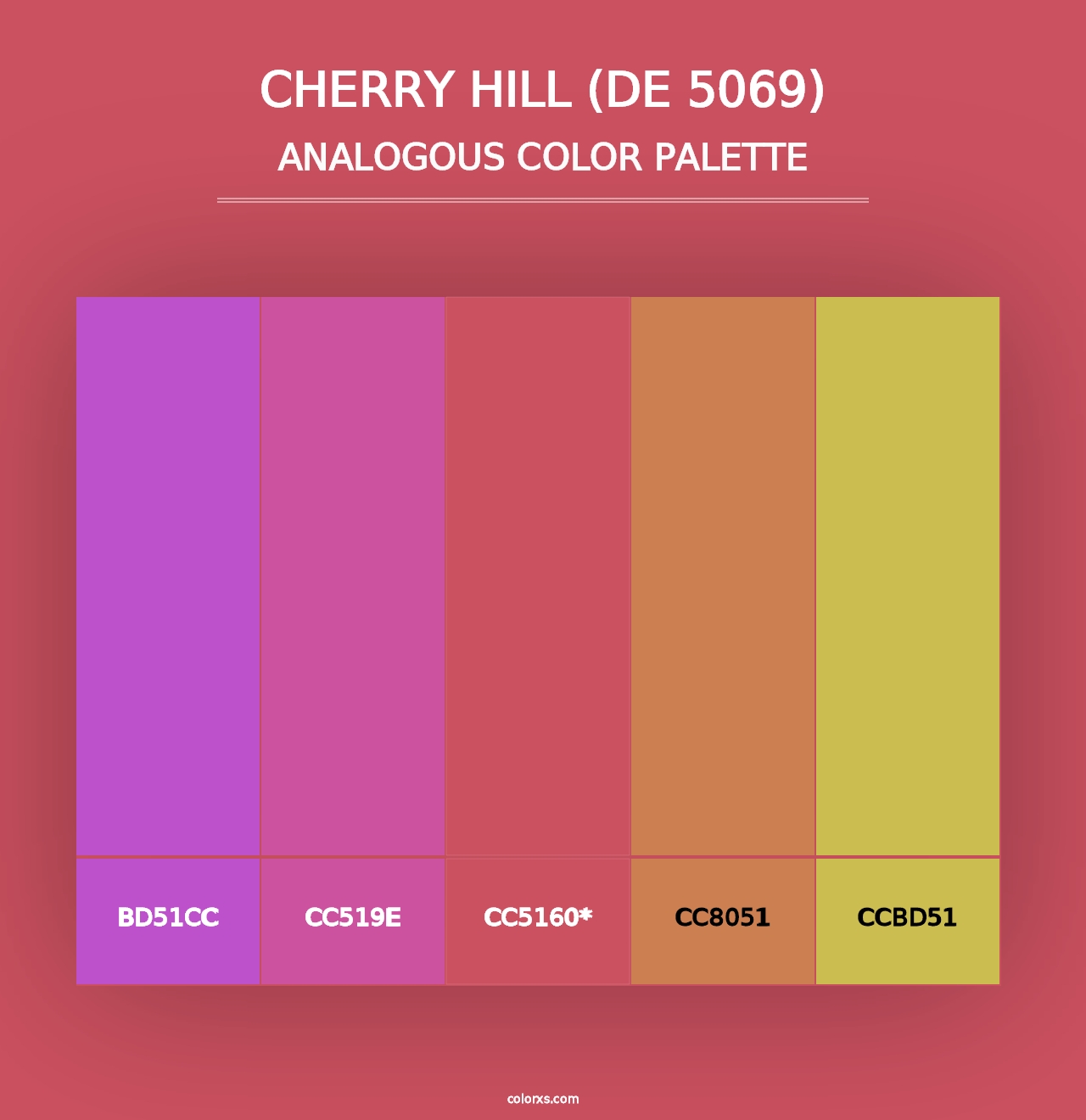 Cherry Hill (DE 5069) - Analogous Color Palette