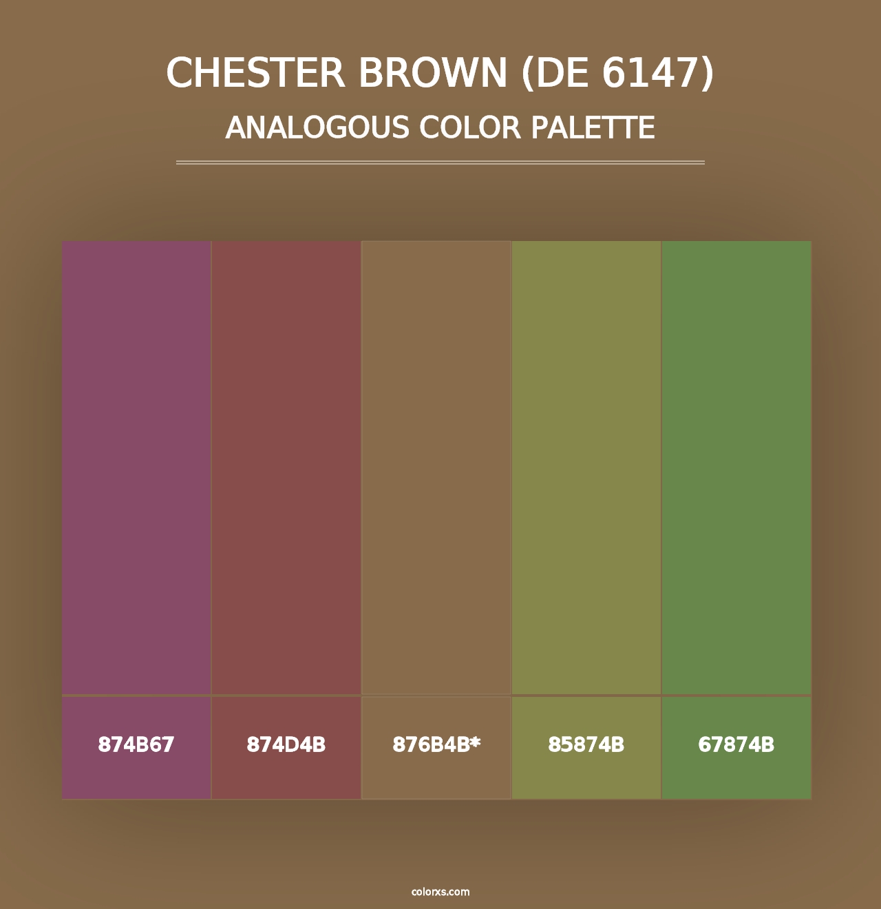 Chester Brown (DE 6147) - Analogous Color Palette