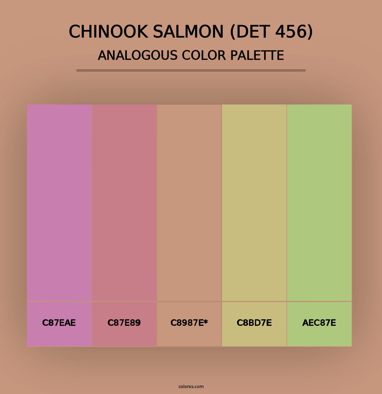 Chinook Salmon (DET 456) - Analogous Color Palette