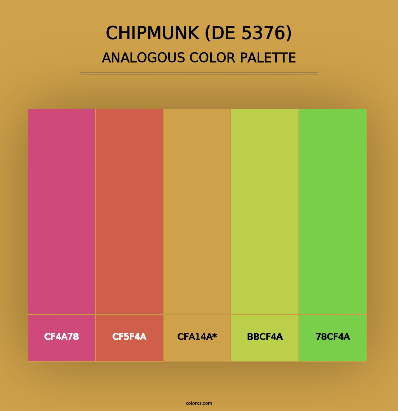 Chipmunk (DE 5376) - Analogous Color Palette