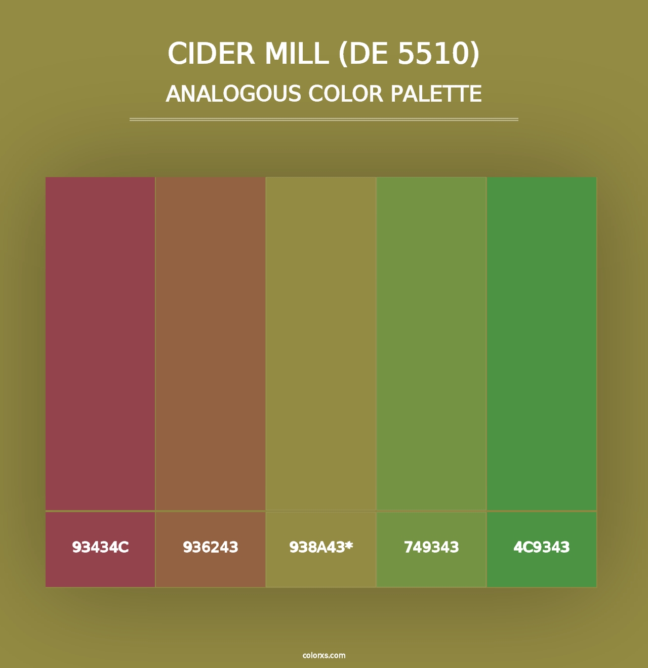 Cider Mill (DE 5510) - Analogous Color Palette