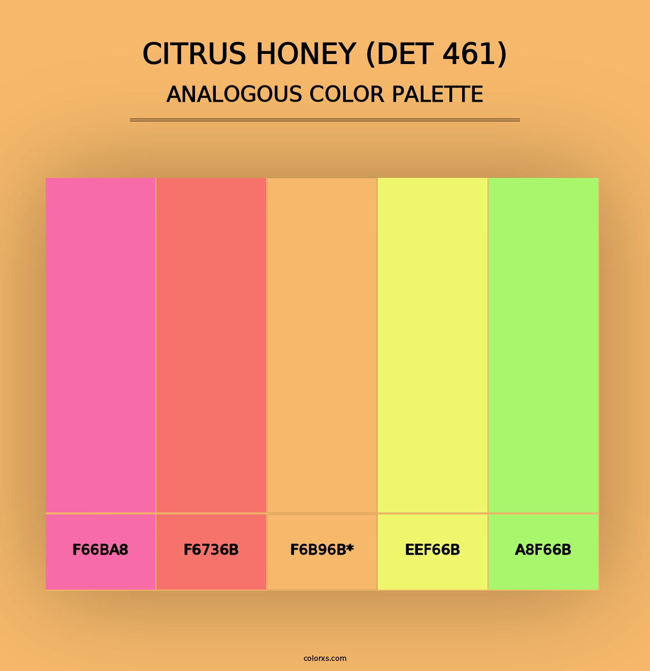 Citrus Honey (DET 461) - Analogous Color Palette