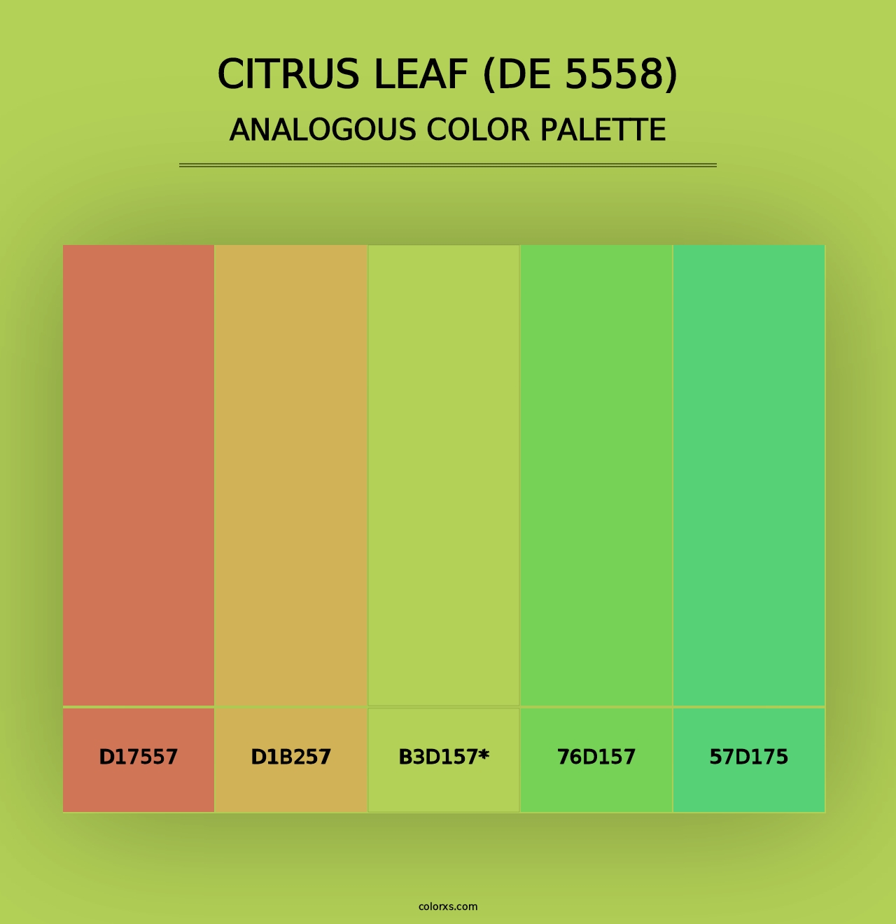 Citrus Leaf (DE 5558) - Analogous Color Palette