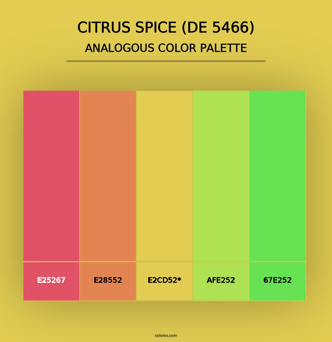 Citrus Spice (DE 5466) - Analogous Color Palette