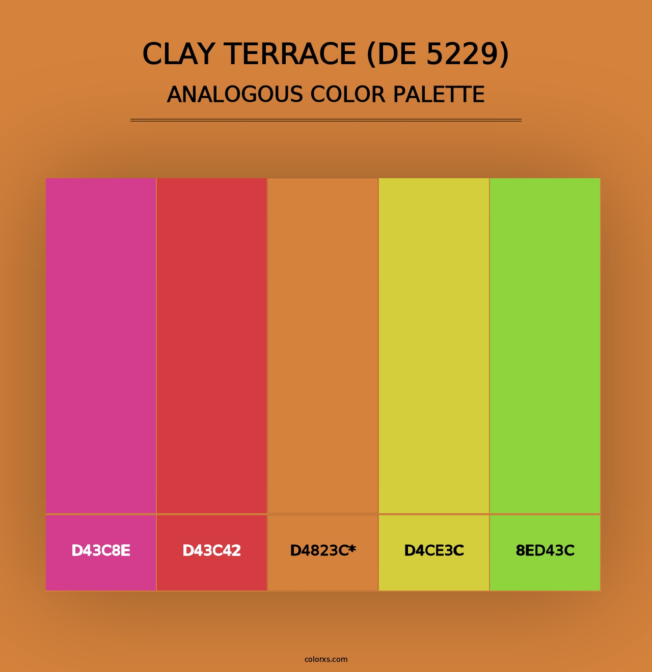 Clay Terrace (DE 5229) - Analogous Color Palette