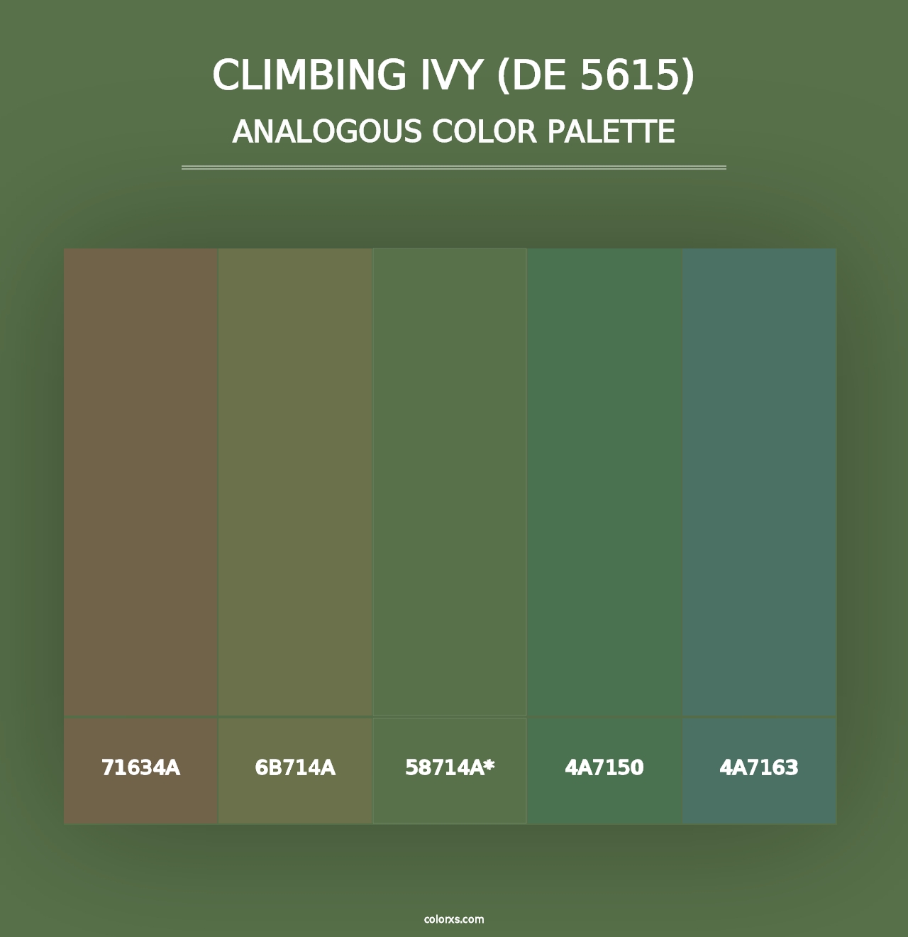 Climbing Ivy (DE 5615) - Analogous Color Palette