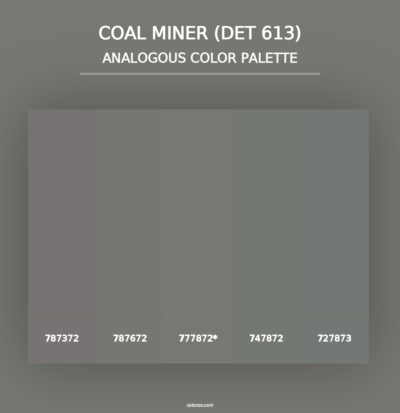 Coal Miner (DET 613) - Analogous Color Palette