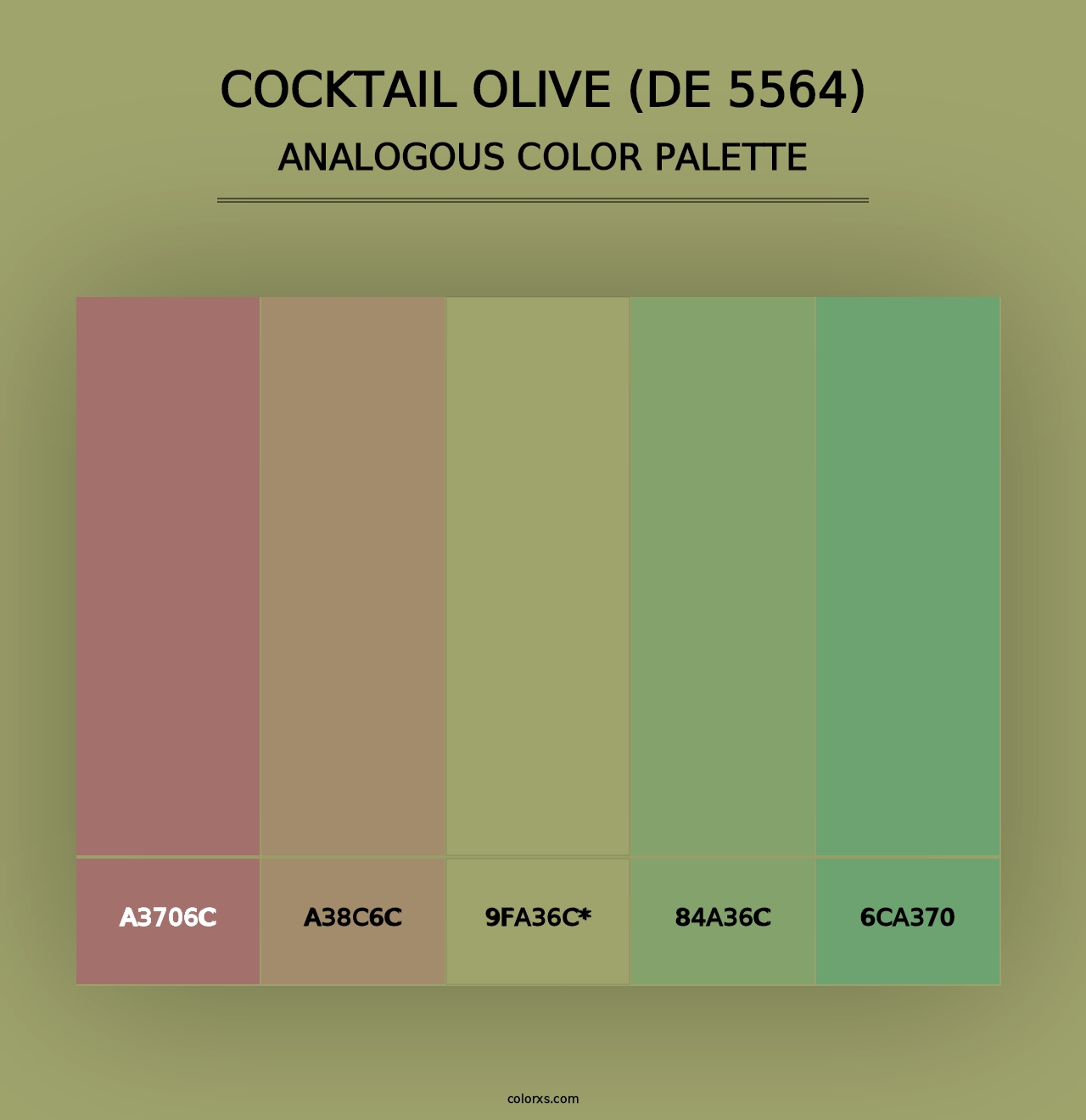 Cocktail Olive (DE 5564) - Analogous Color Palette