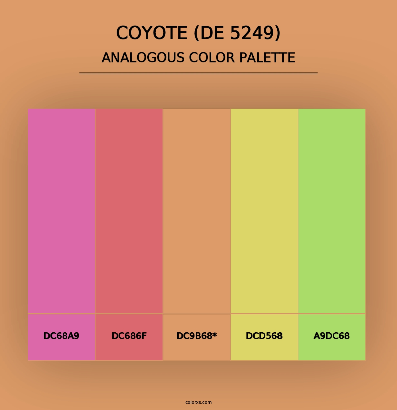 Coyote (DE 5249) - Analogous Color Palette