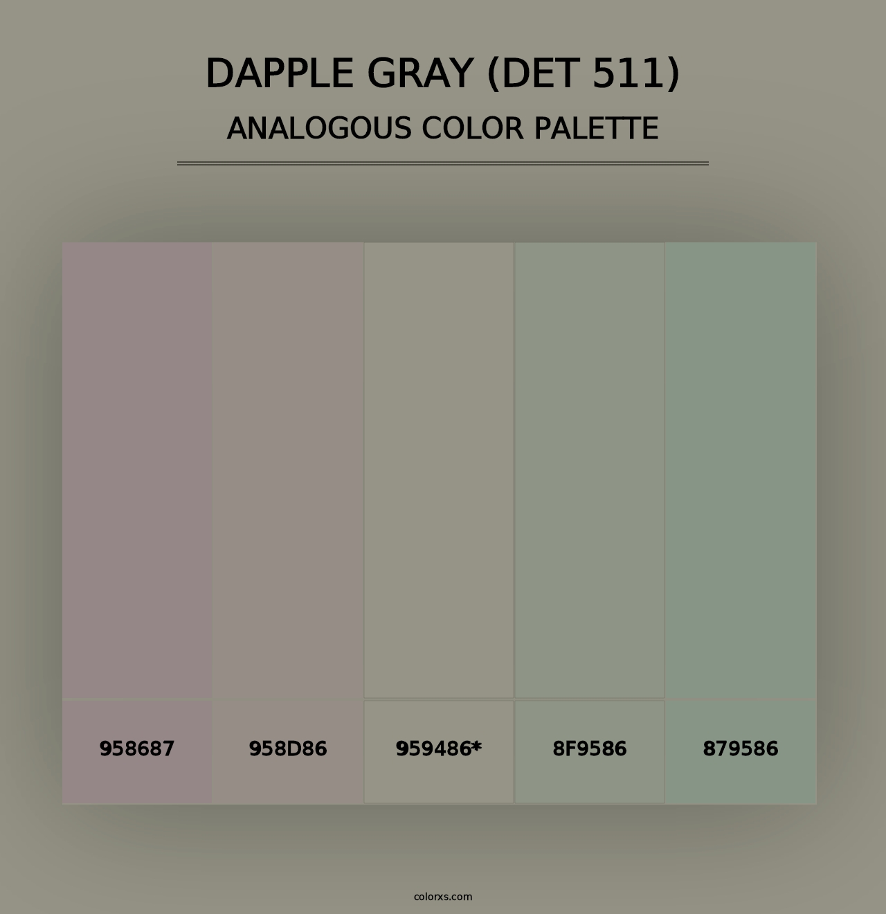 Dapple Gray (DET 511) - Analogous Color Palette