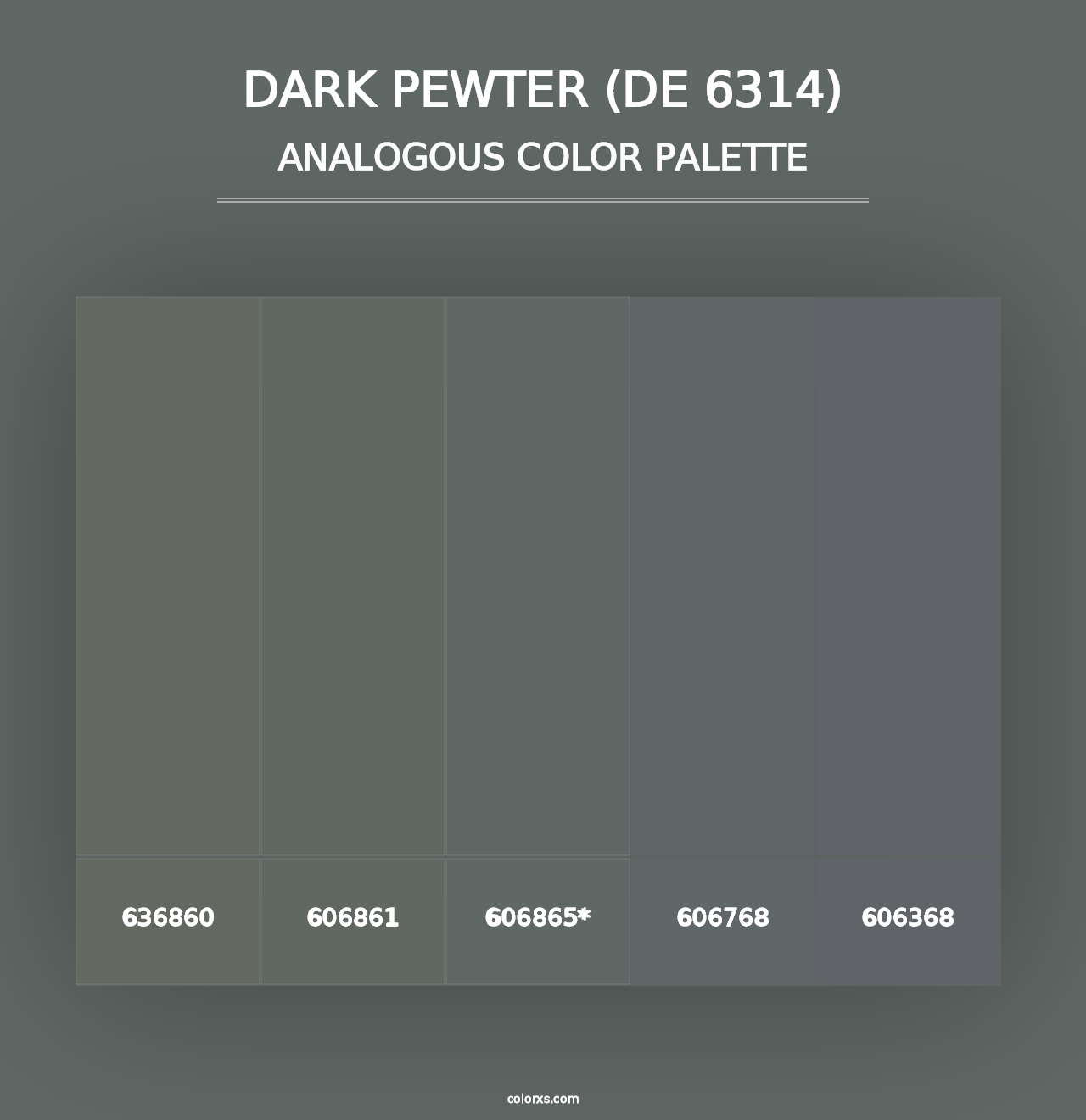 Dark Pewter (DE 6314) - Analogous Color Palette