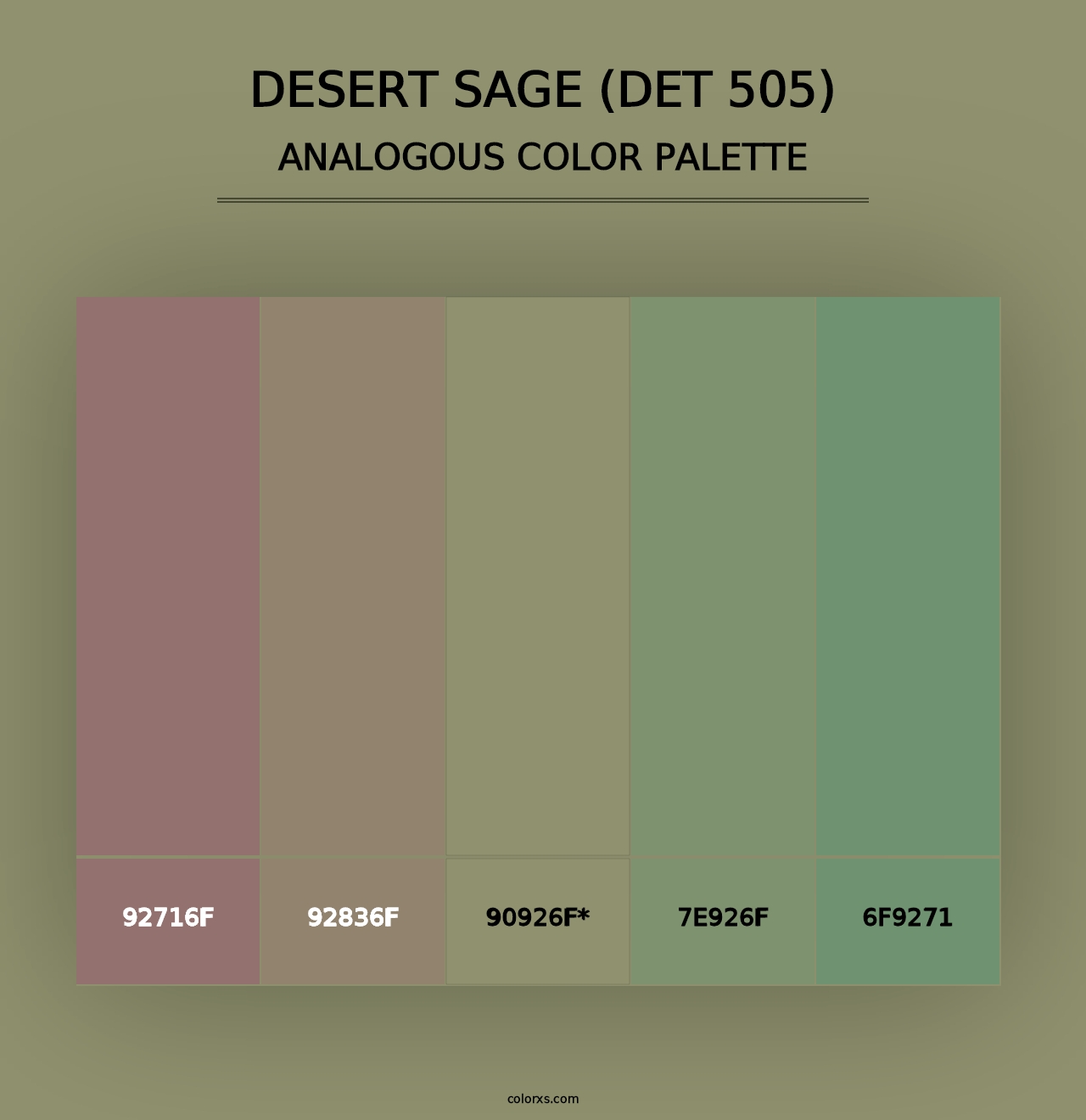 Desert Sage (DET 505) - Analogous Color Palette