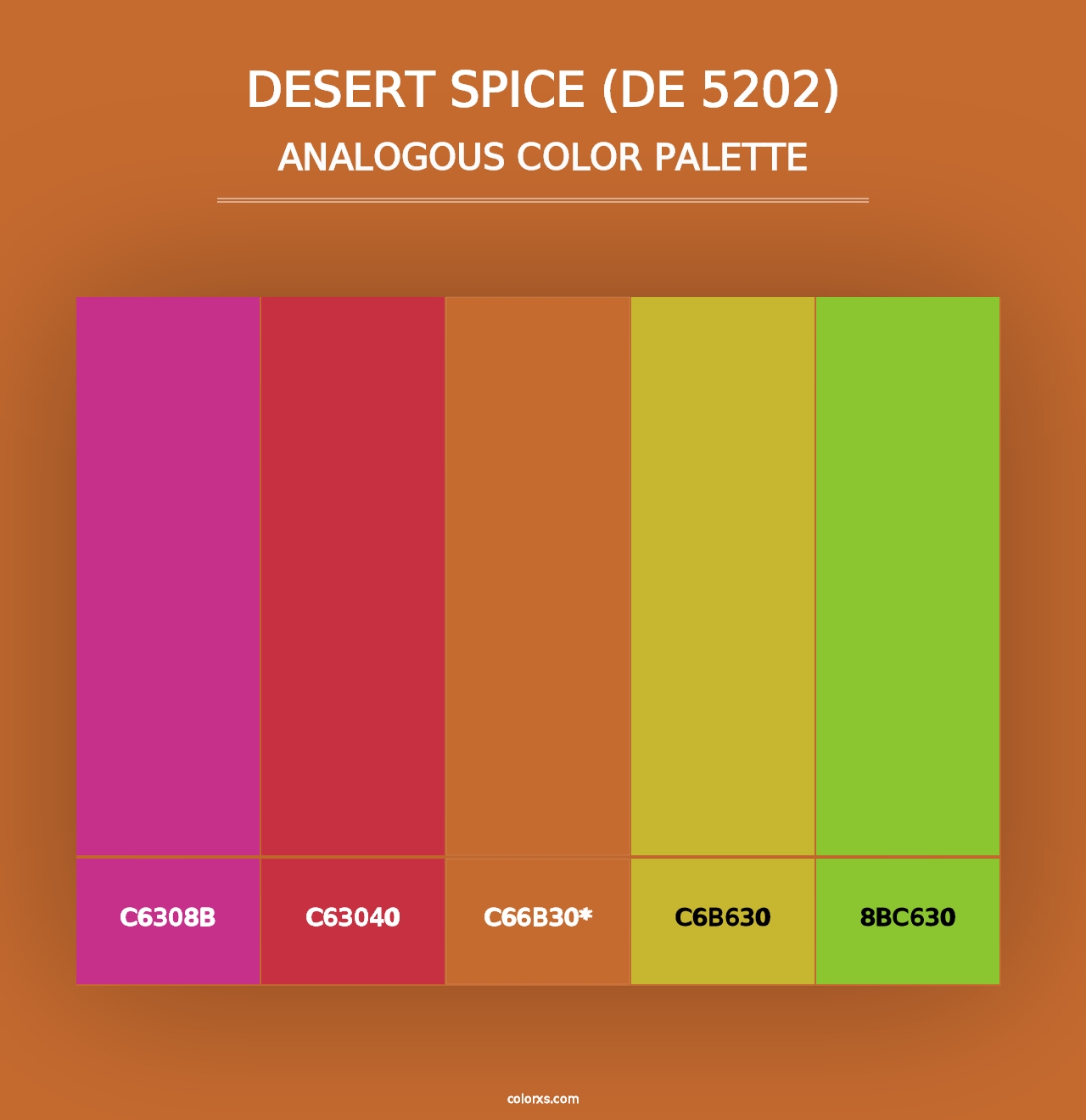 Desert Spice (DE 5202) - Analogous Color Palette