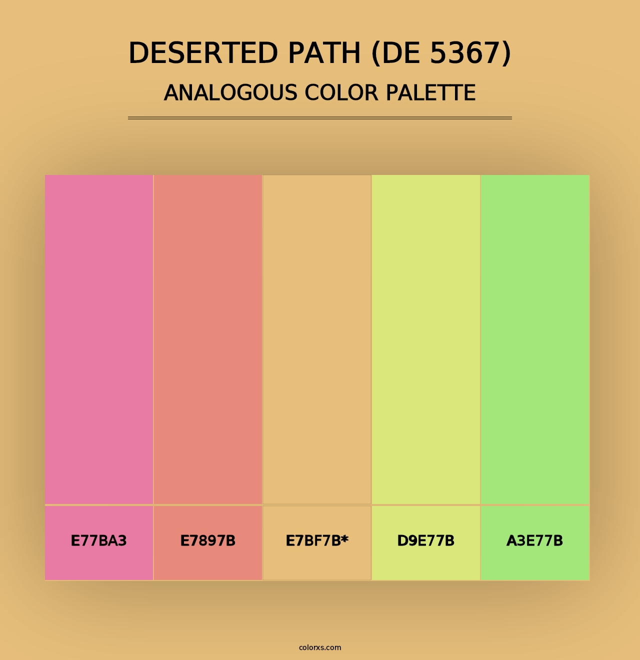 Deserted Path (DE 5367) - Analogous Color Palette