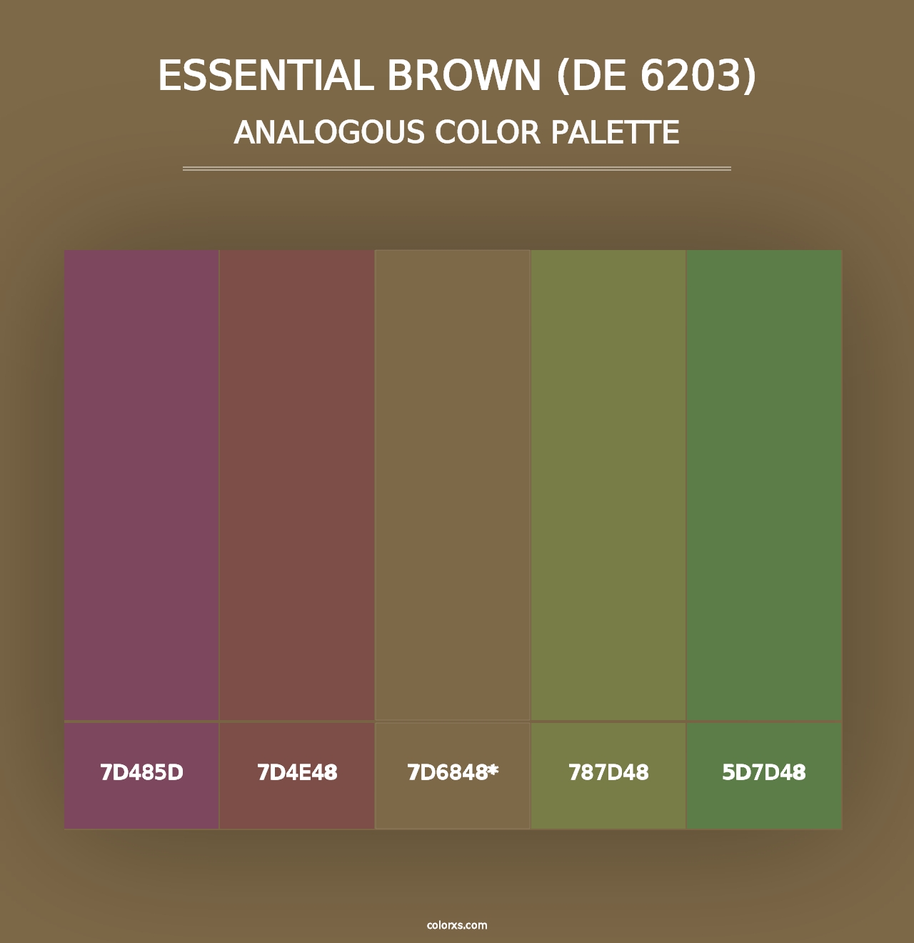 Essential Brown (DE 6203) - Analogous Color Palette