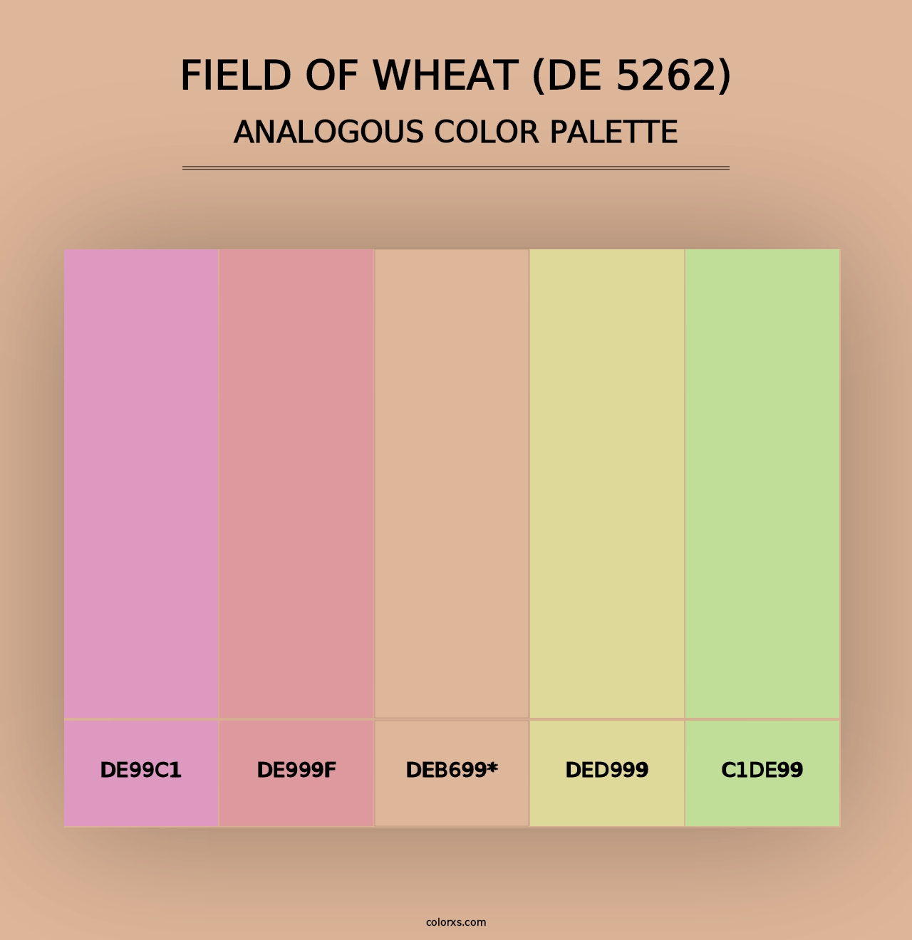 Field of Wheat (DE 5262) - Analogous Color Palette