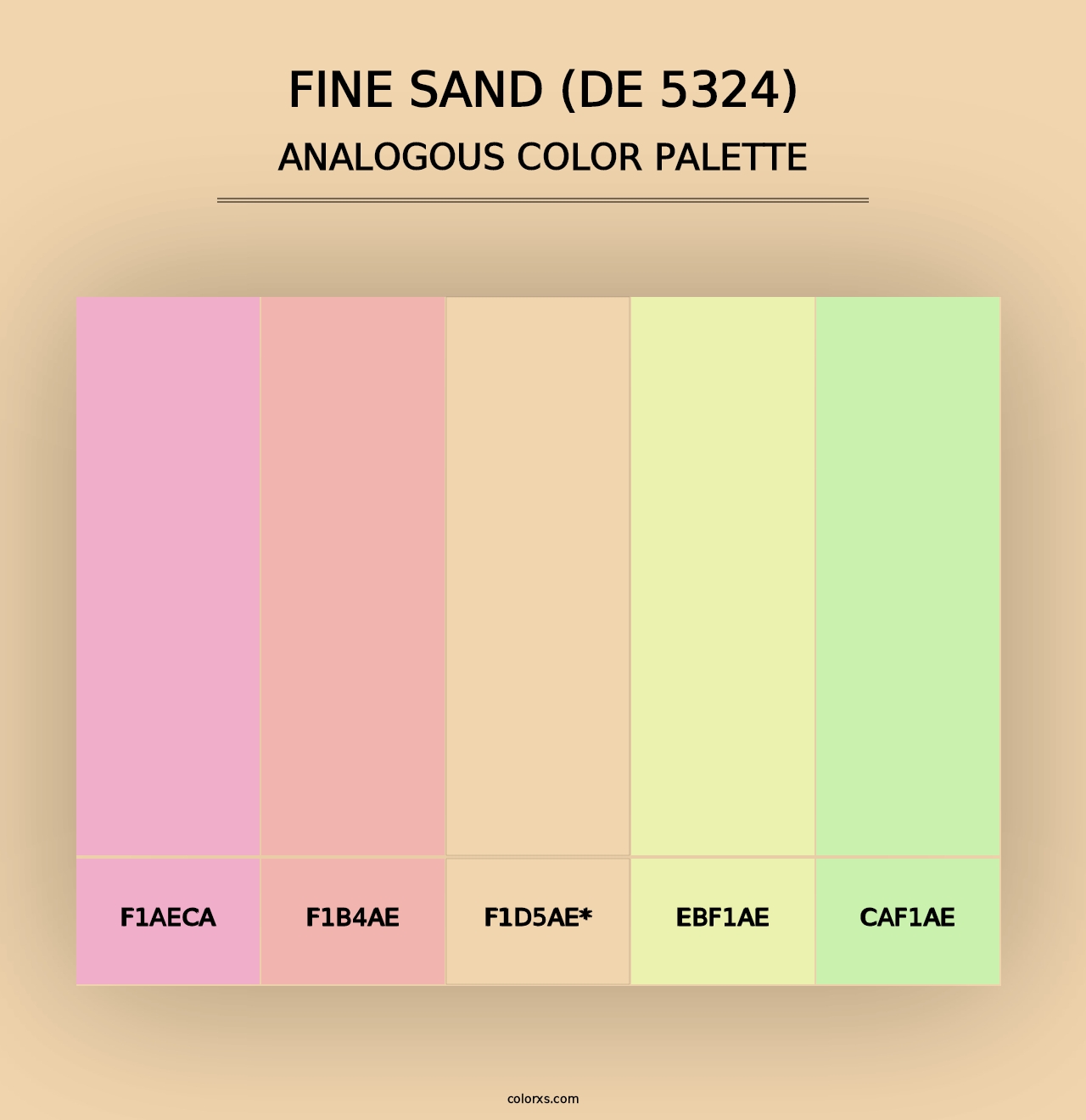 Fine Sand (DE 5324) - Analogous Color Palette