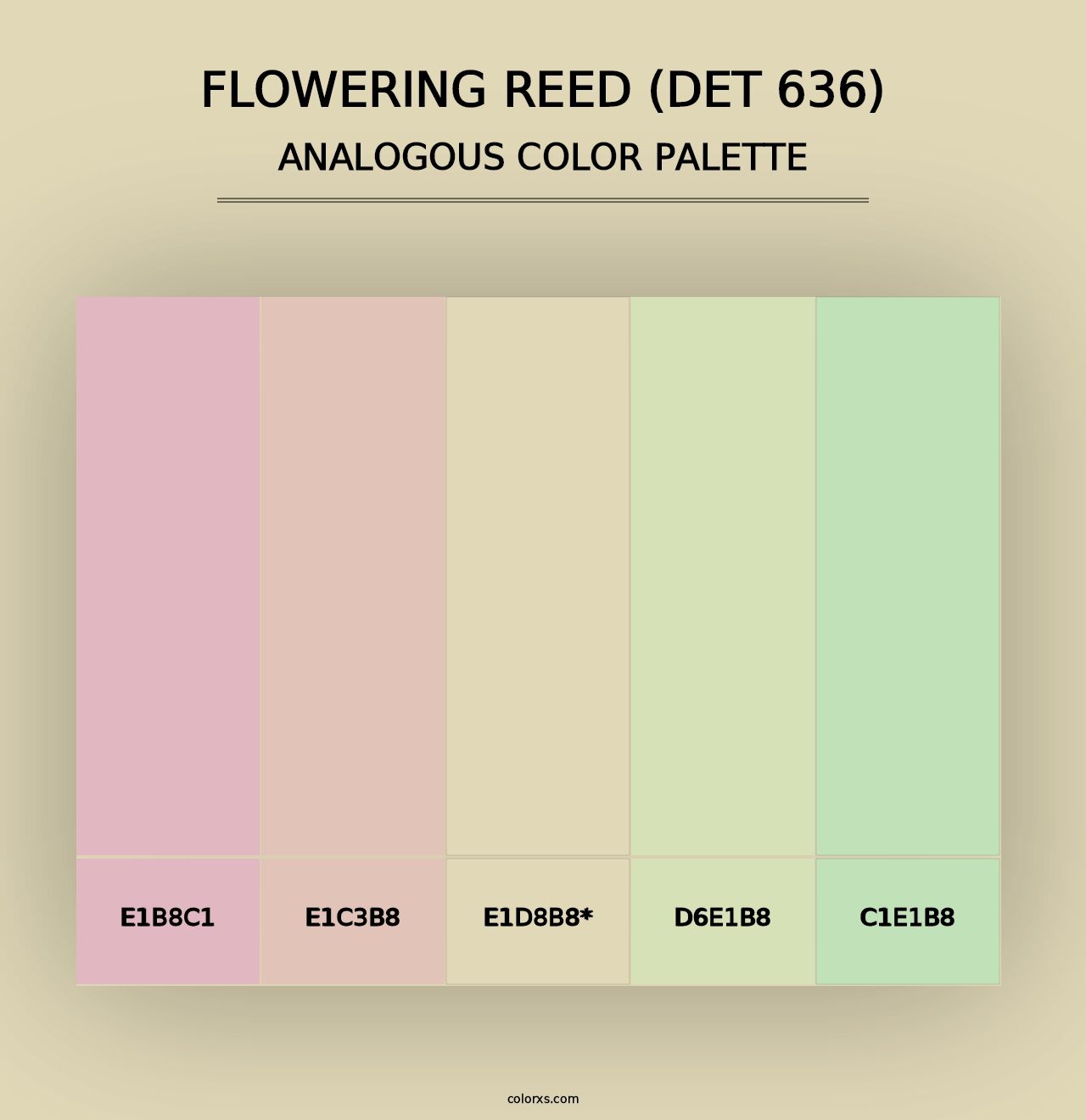 Flowering Reed (DET 636) - Analogous Color Palette