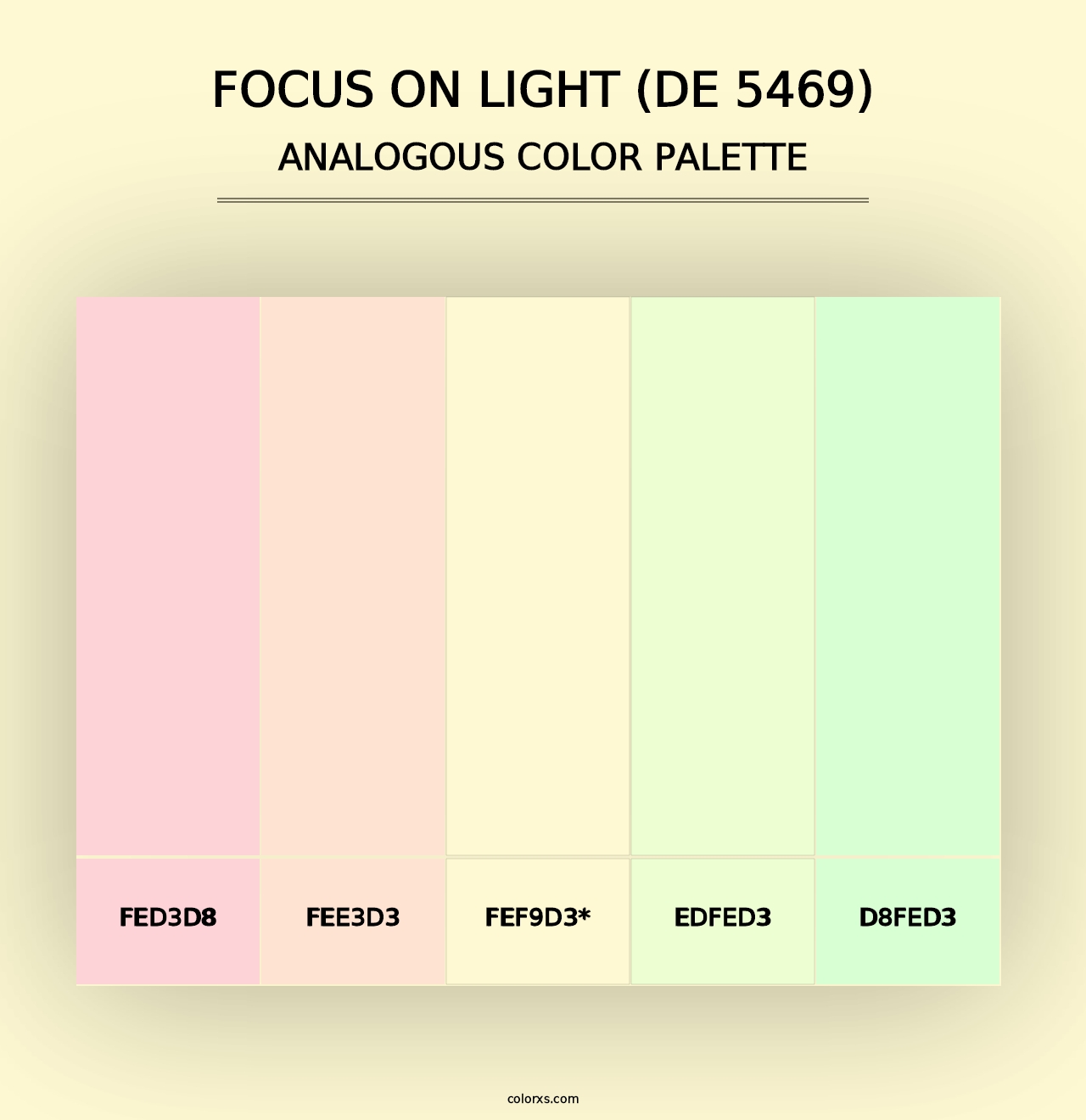 Focus on Light (DE 5469) - Analogous Color Palette