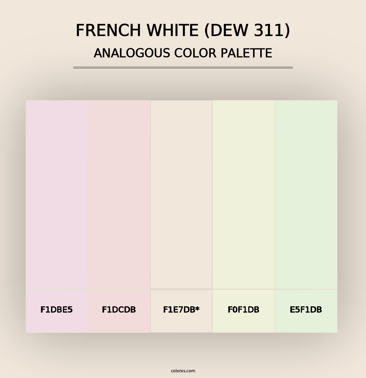 French White (DEW 311) - Analogous Color Palette