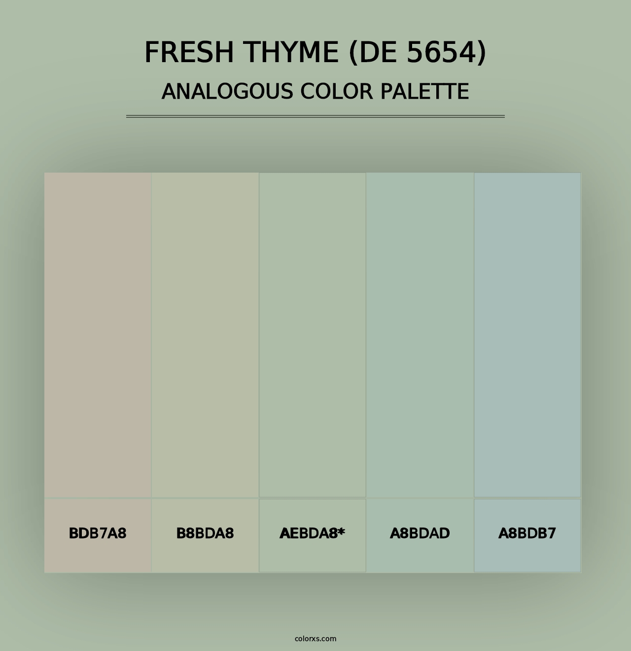 Fresh Thyme (DE 5654) - Analogous Color Palette