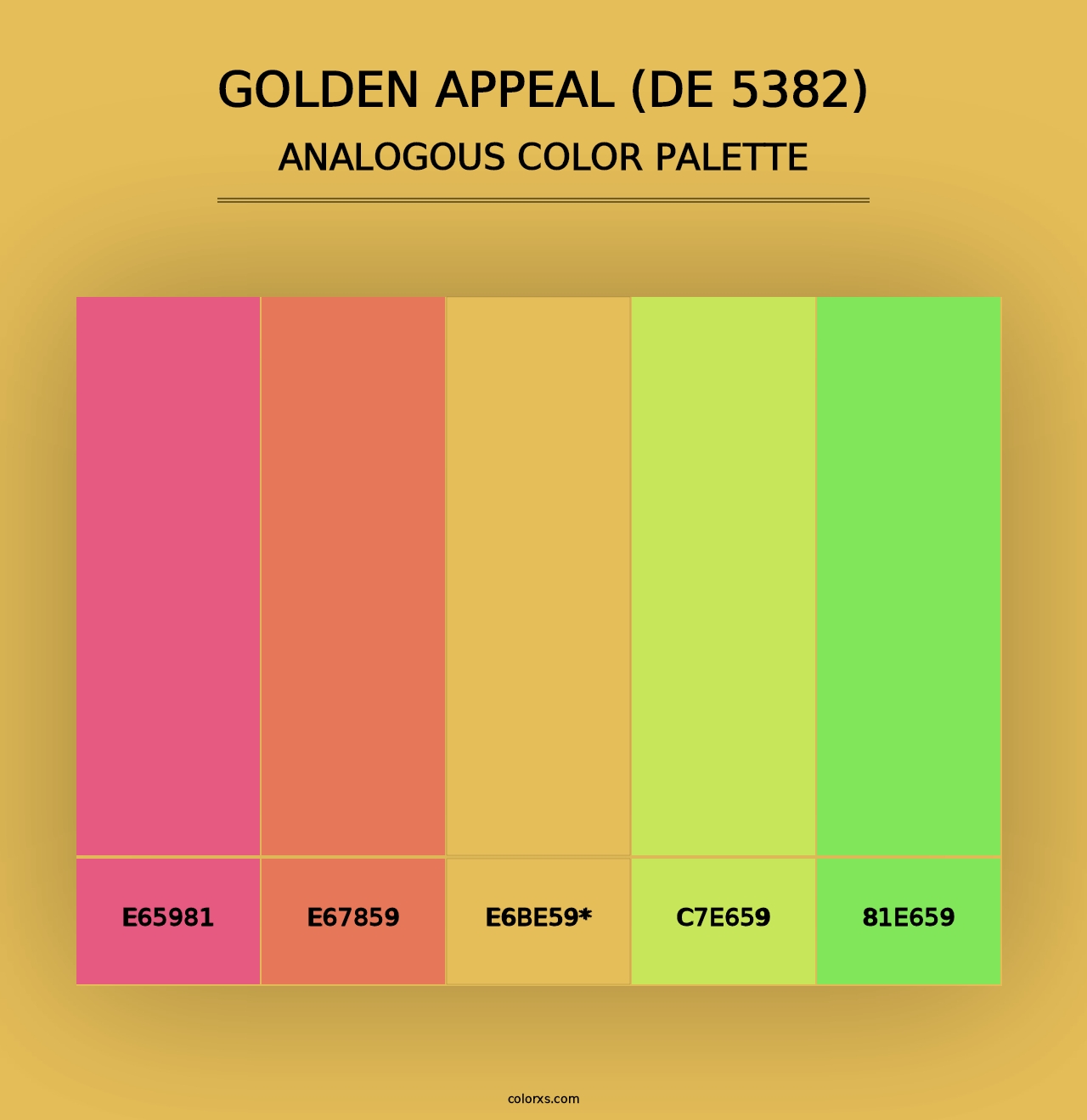 Golden Appeal (DE 5382) - Analogous Color Palette