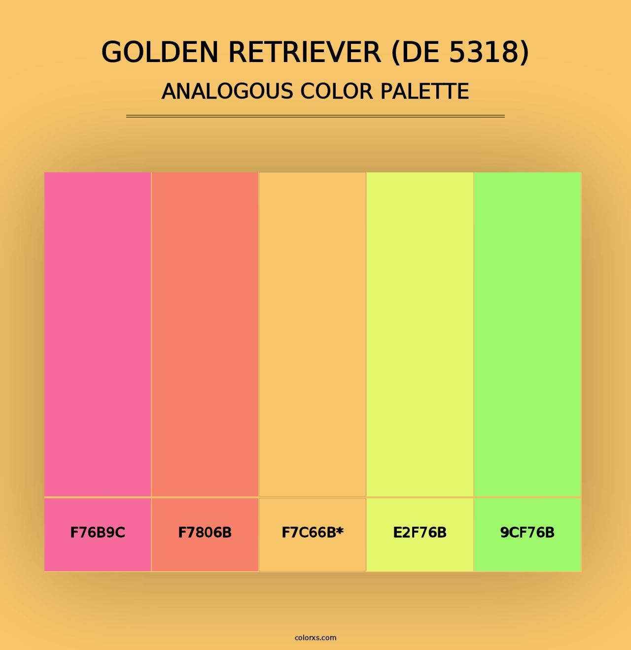 Golden Retriever (DE 5318) - Analogous Color Palette