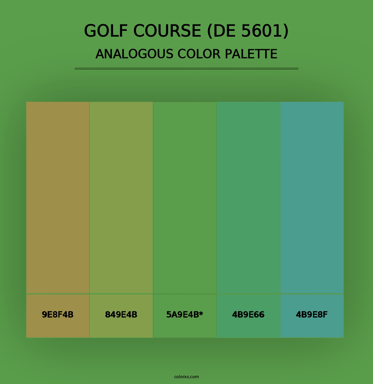 Golf Course (DE 5601) - Analogous Color Palette