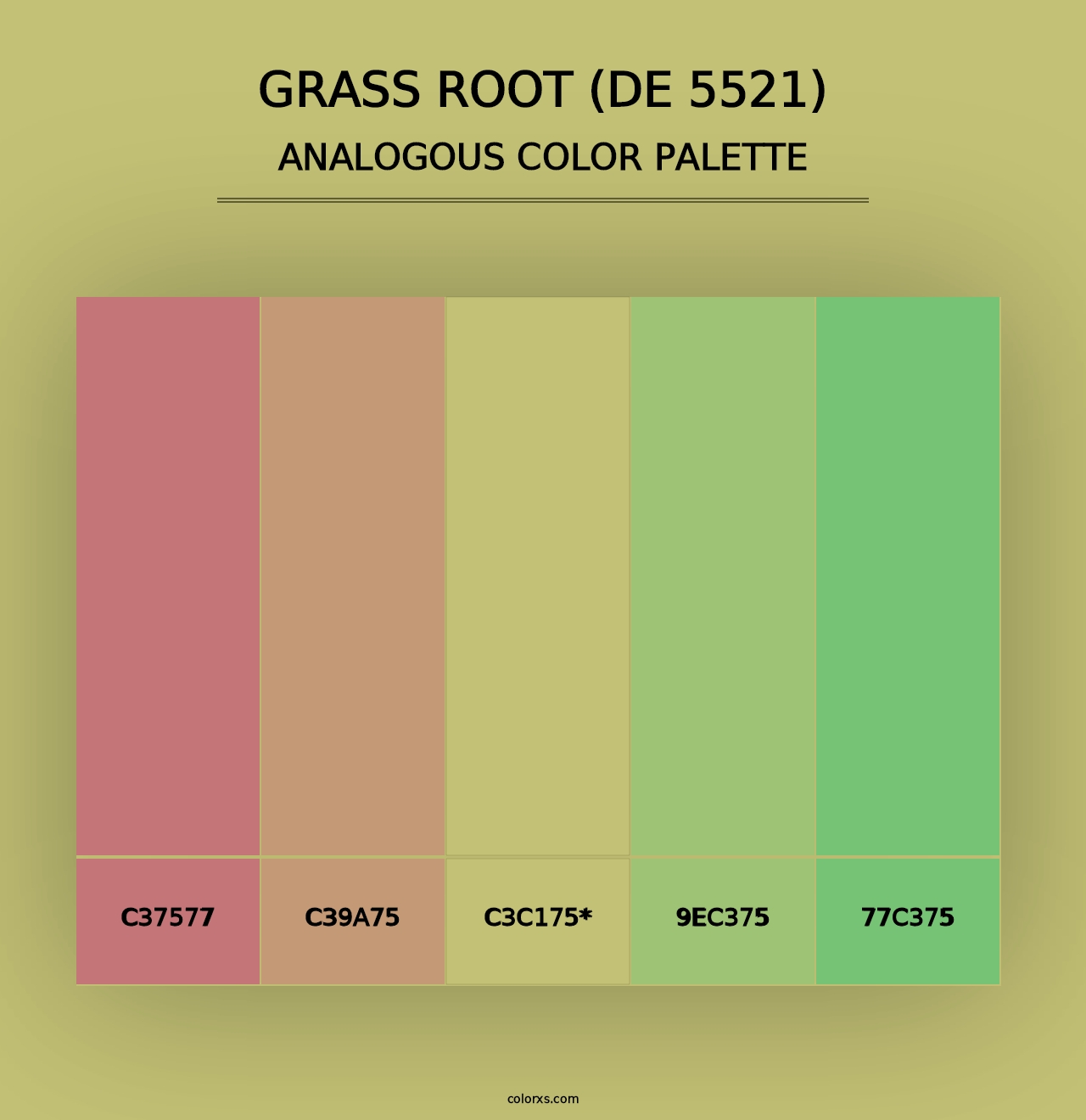 Grass Root (DE 5521) - Analogous Color Palette