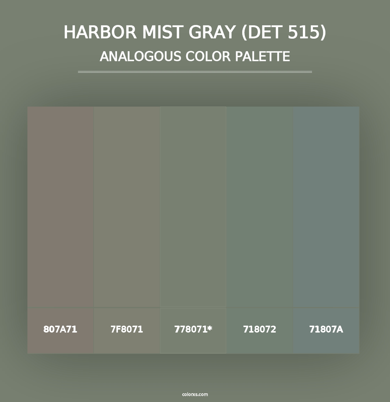 Harbor Mist Gray (DET 515) - Analogous Color Palette