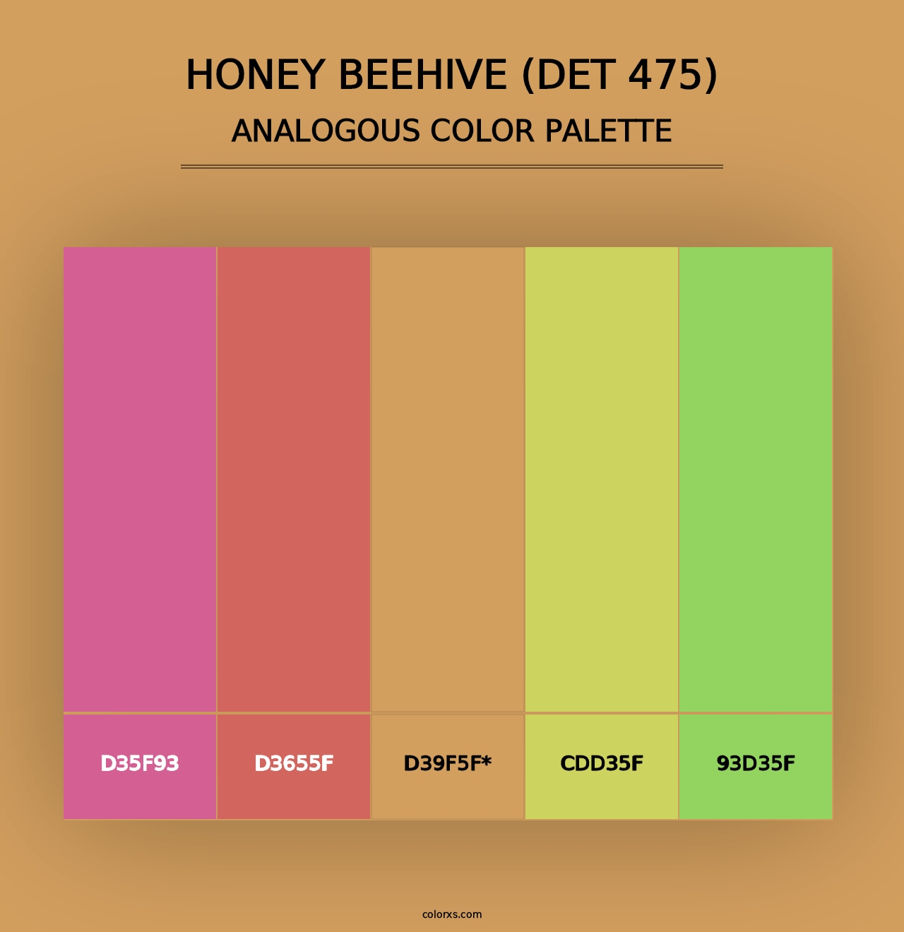 Honey Beehive (DET 475) - Analogous Color Palette