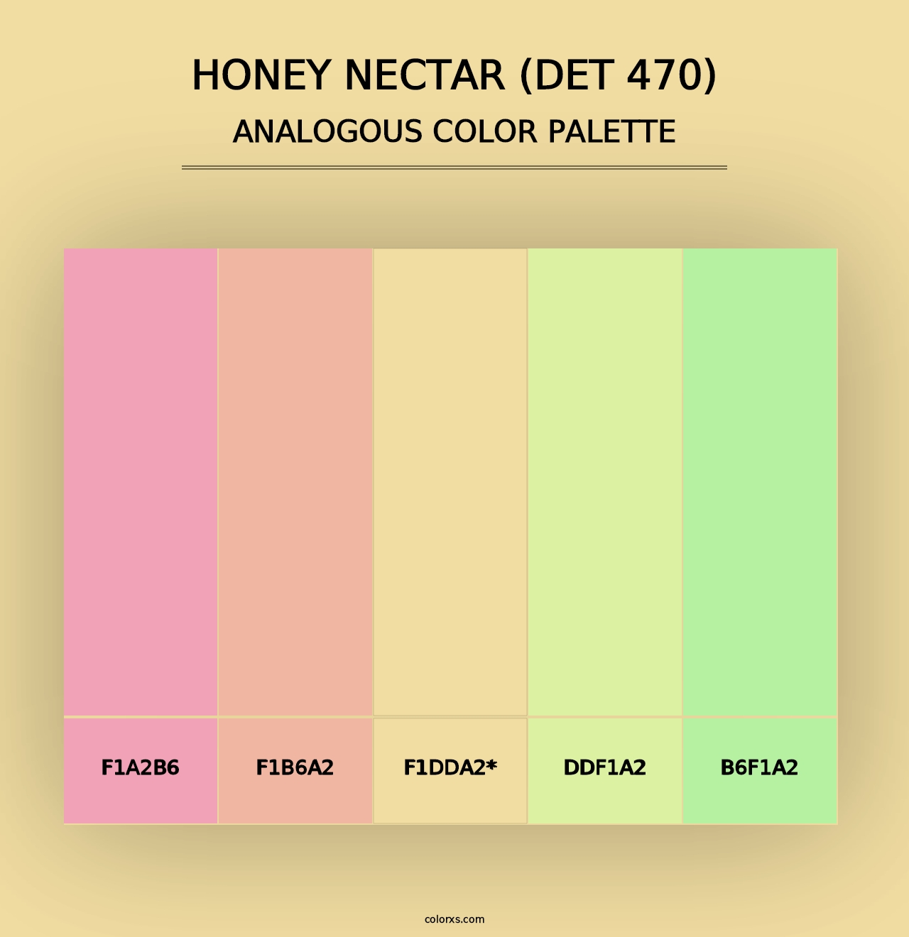 Honey Nectar (DET 470) - Analogous Color Palette