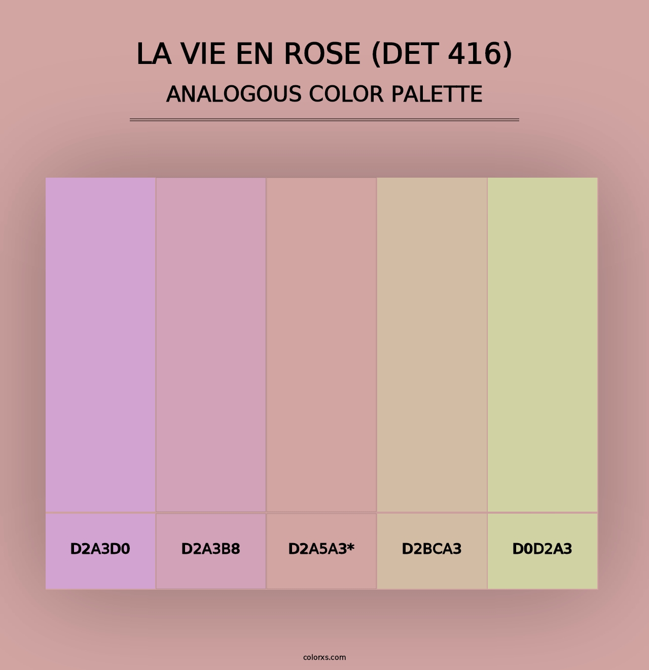 La Vie en Rose (DET 416) - Analogous Color Palette