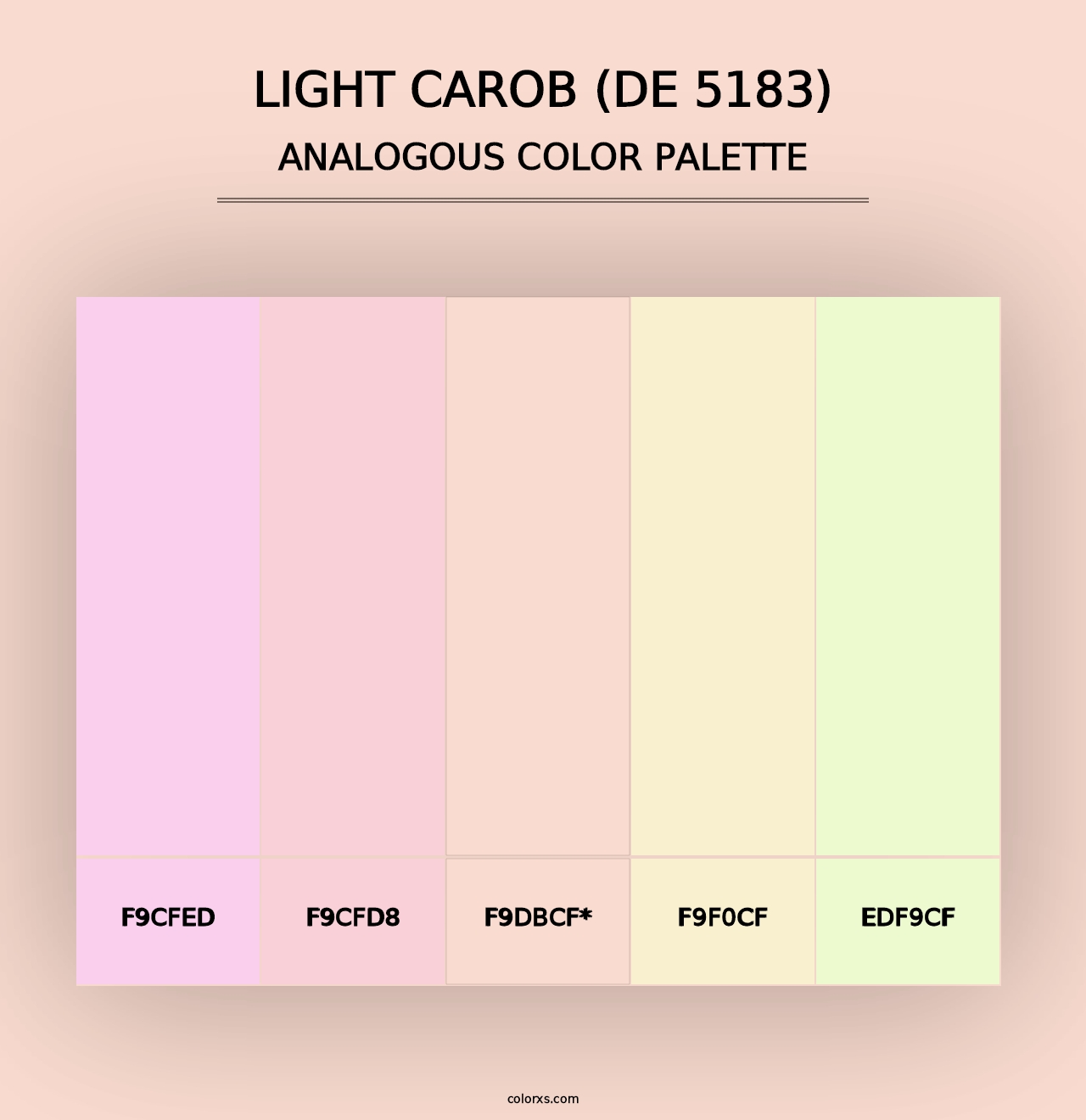 Light Carob (DE 5183) - Analogous Color Palette