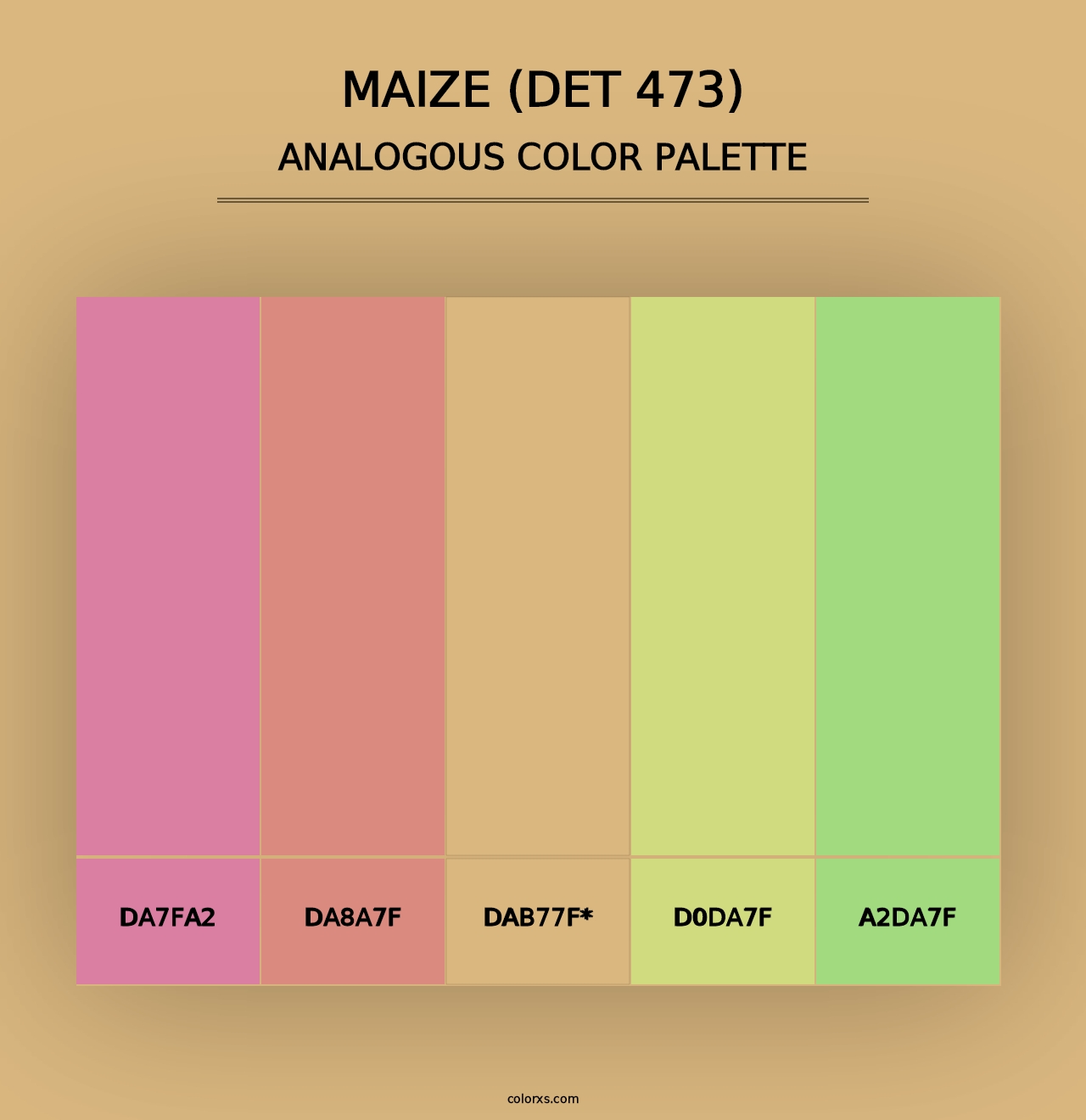 Maize (DET 473) - Analogous Color Palette