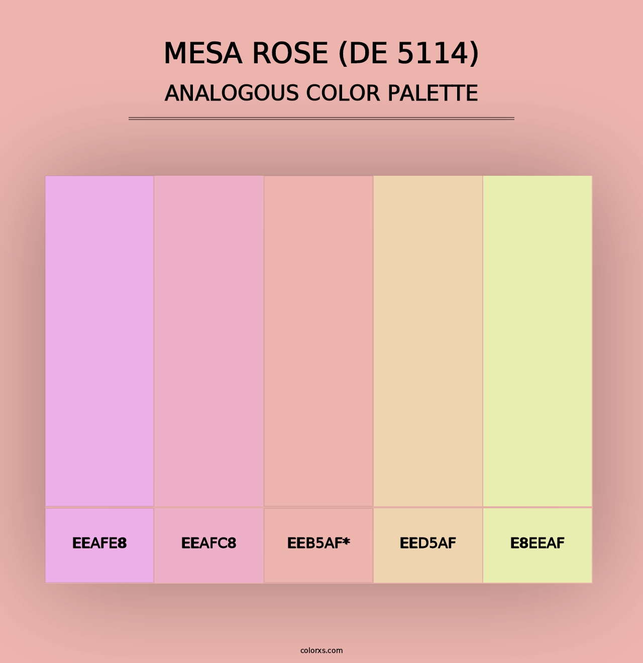 Mesa Rose (DE 5114) - Analogous Color Palette