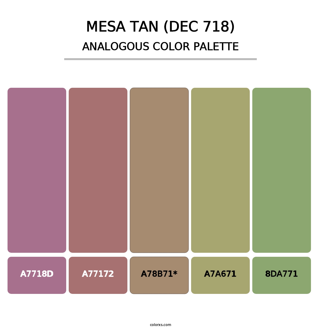 Mesa Tan (DEC 718) - Analogous Color Palette