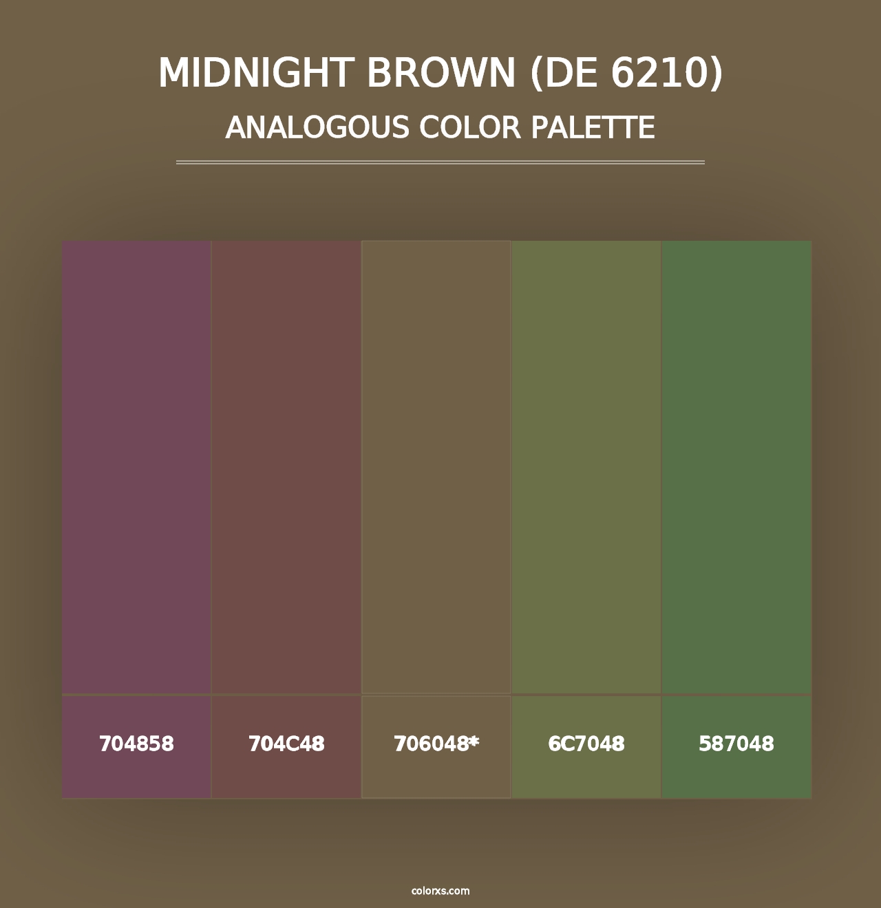 Midnight Brown (DE 6210) - Analogous Color Palette