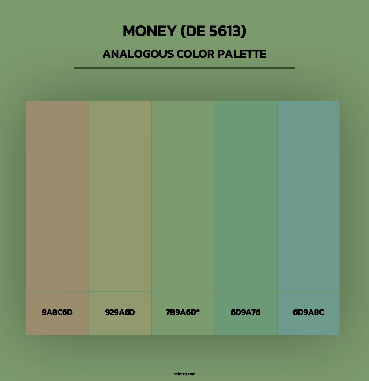 Money (DE 5613) - Analogous Color Palette