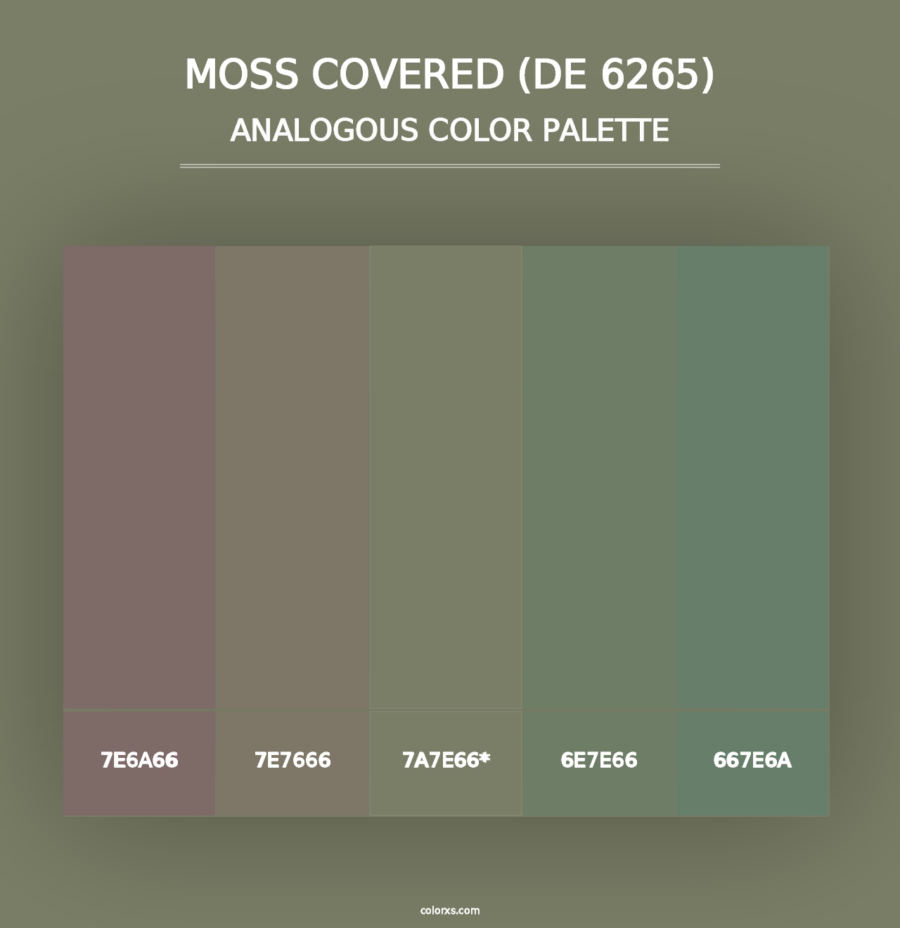 Moss Covered (DE 6265) - Analogous Color Palette