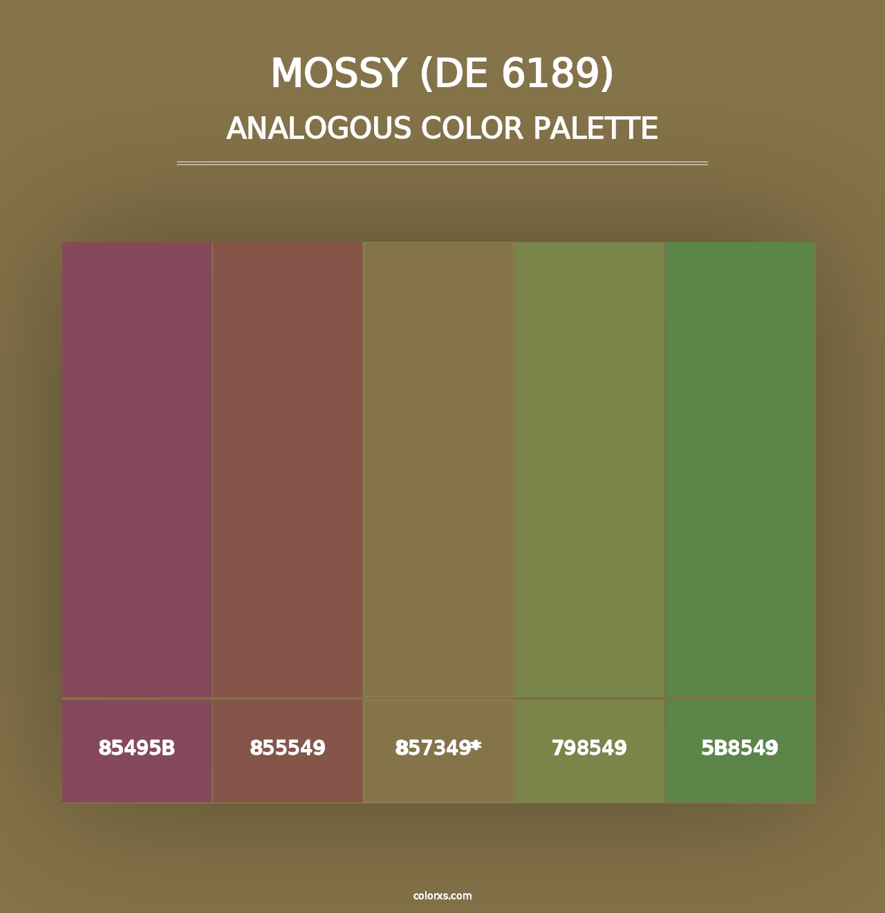 Mossy (DE 6189) - Analogous Color Palette