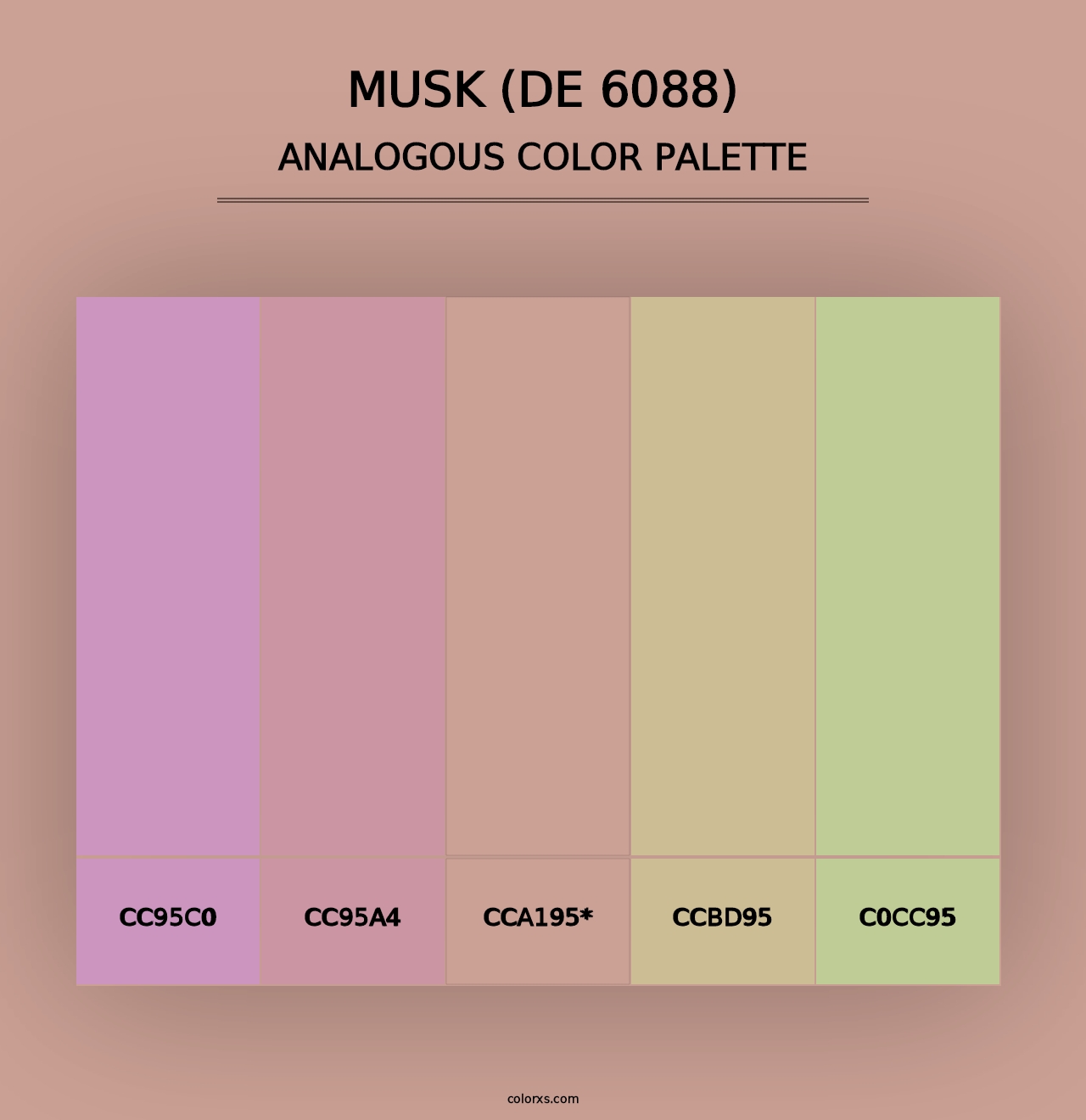 Musk (DE 6088) - Analogous Color Palette